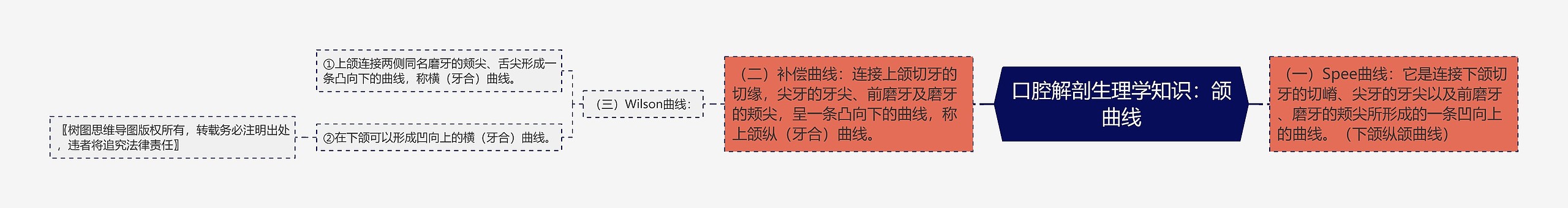 口腔解剖生理学知识:颌曲线思维导图高清图 口腔解剖生理学知识:颌曲线思维导图