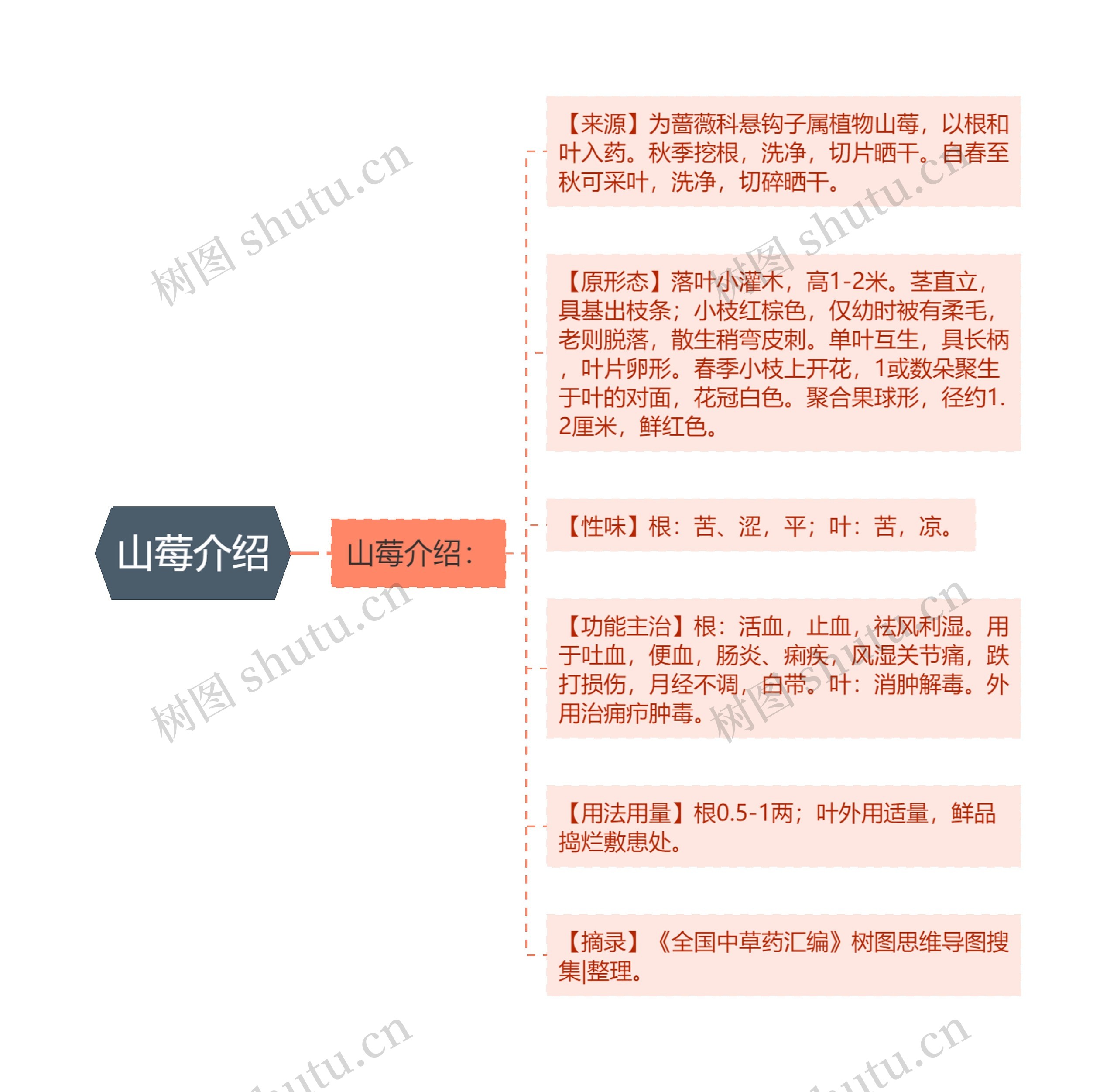 山莓介绍 山莓介绍