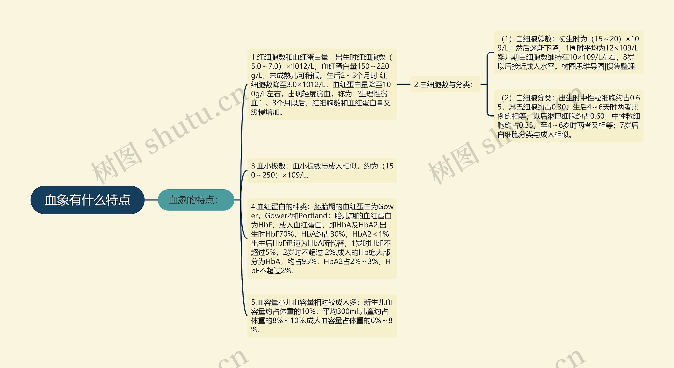 血象有什么特点思维导图