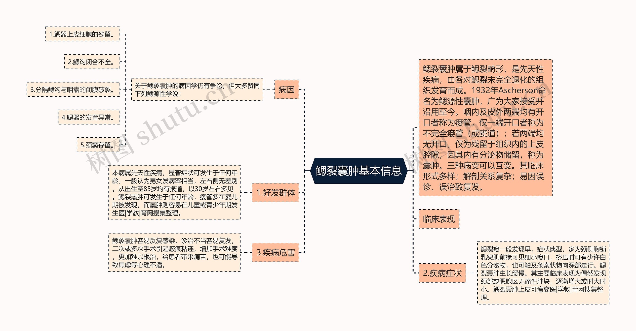 鳃裂囊肿基本信息 鳃裂囊肿基本信息