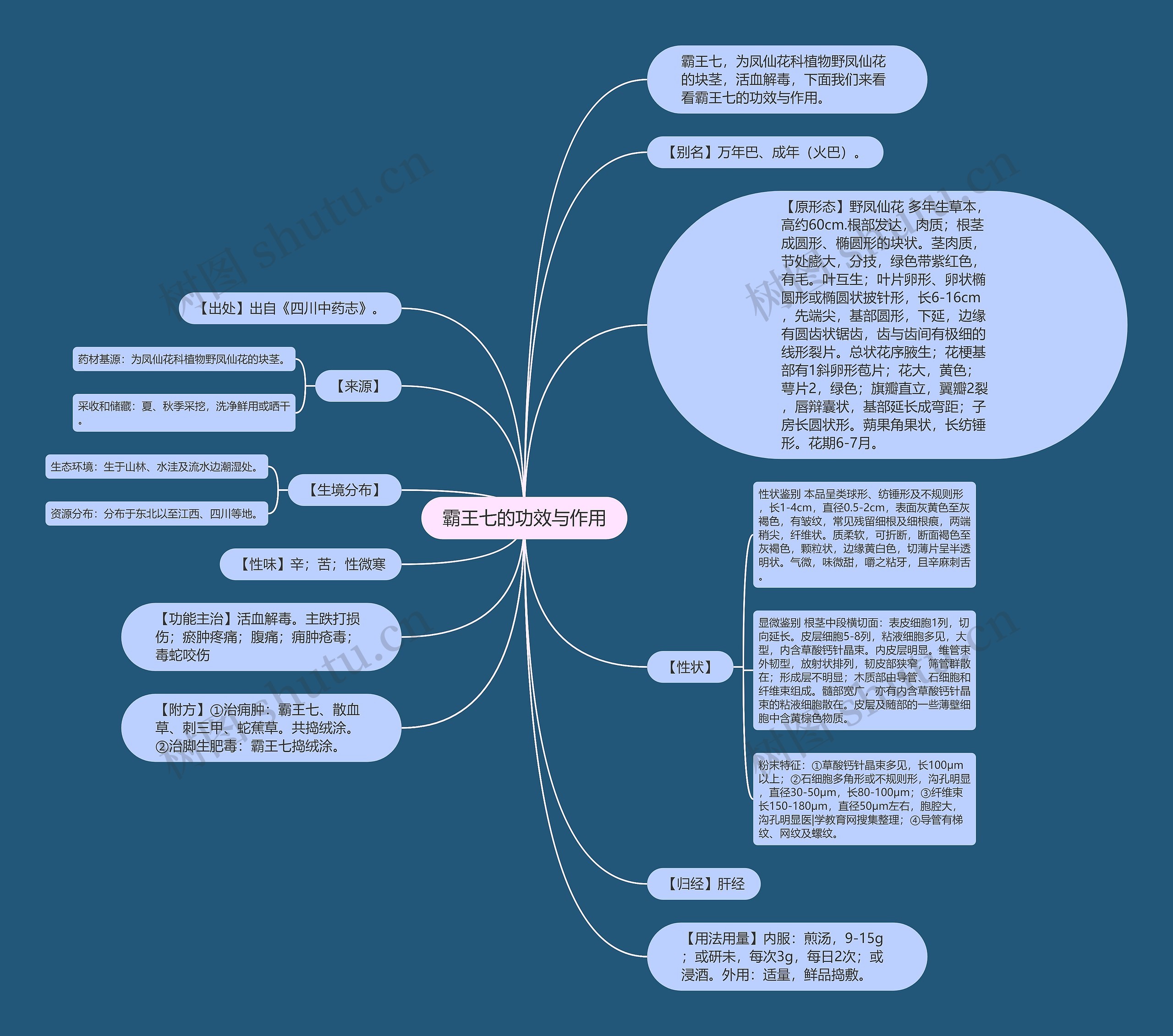 霸王七的功效与作用思维导图