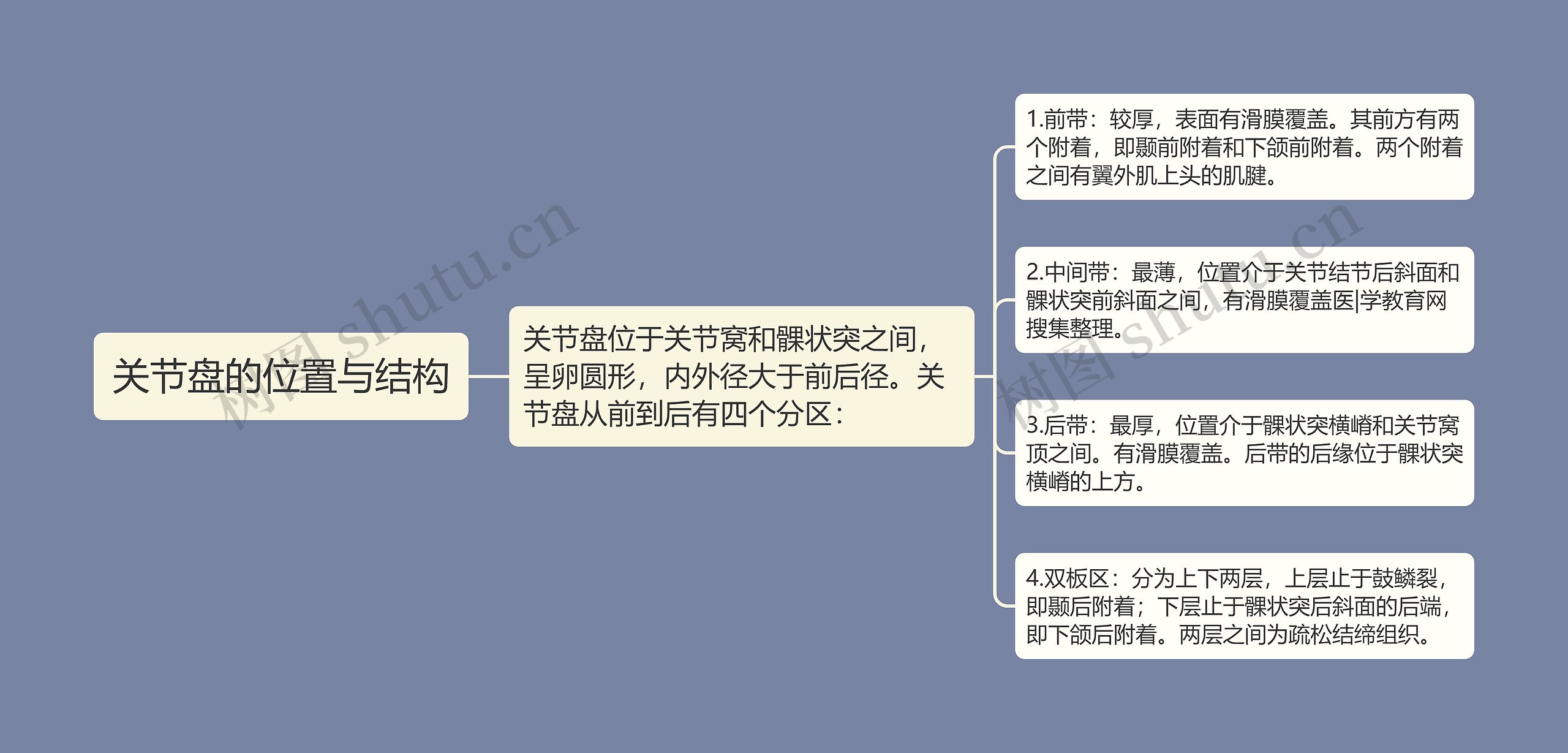 关节盘的位置与结构思维导图