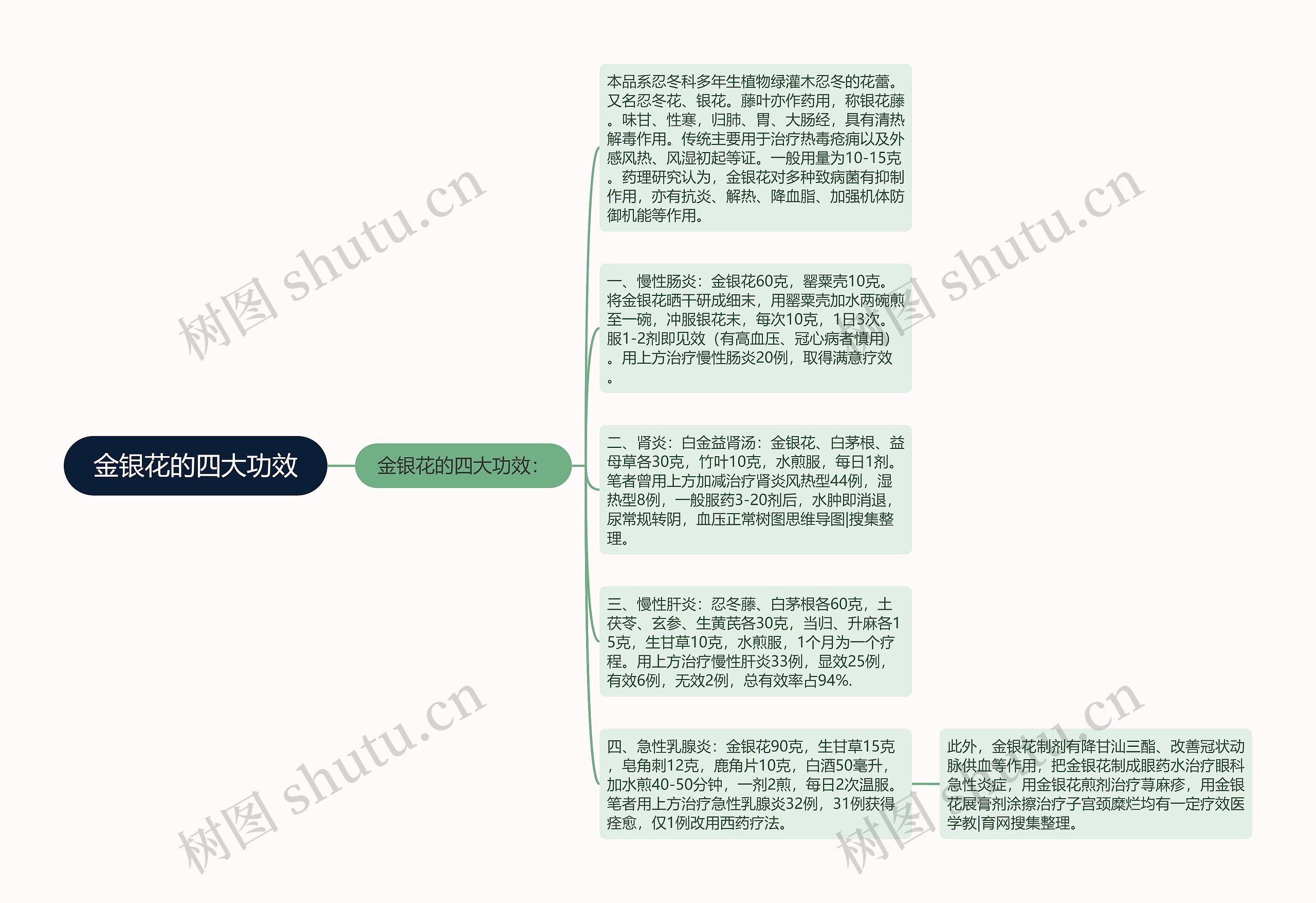 金银花的四大功效思维导图