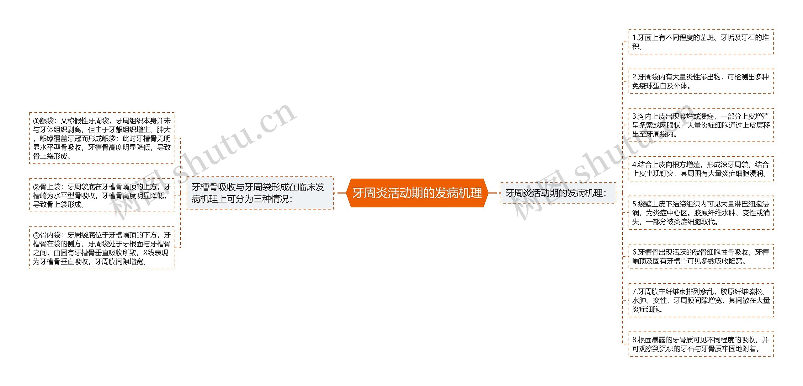 牙周炎活动期的发病机理