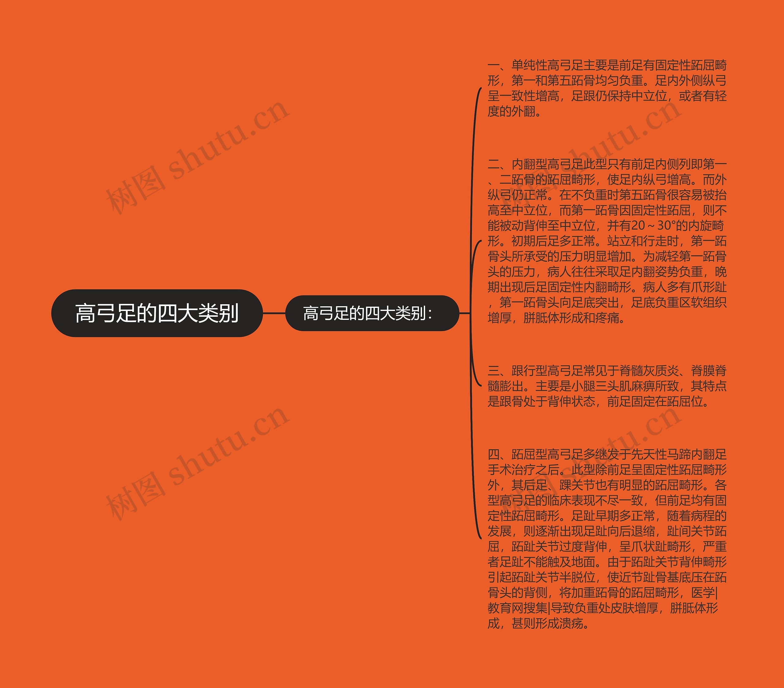 高弓足的四大类别