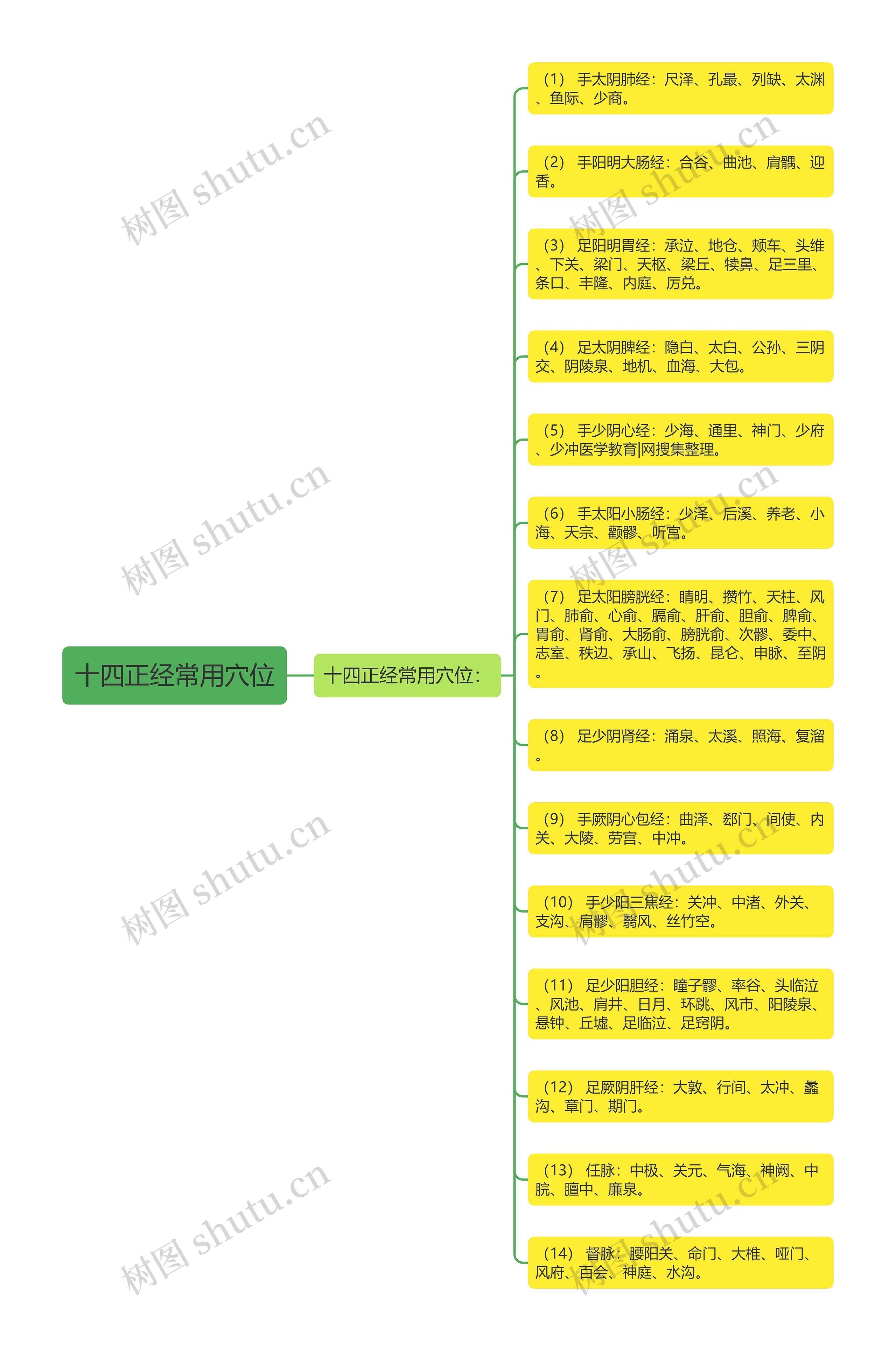 十四正经常用穴位思维导图