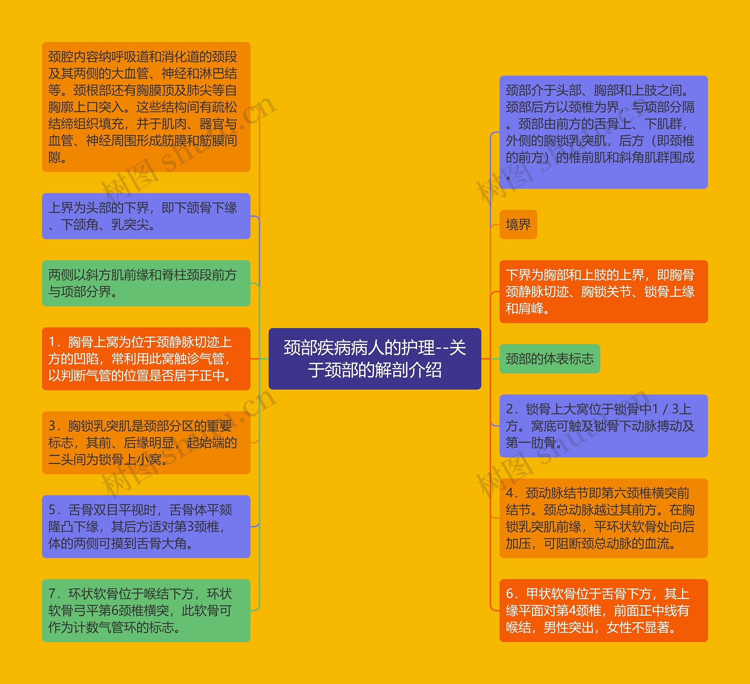 颈部疾病病人的护理--关于颈部的解剖介绍思维导图