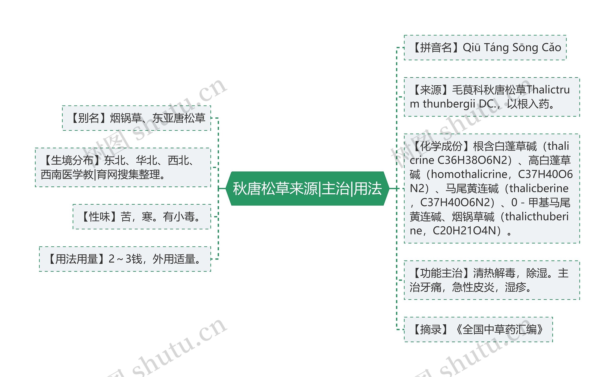 秋唐松草来源|主治|用法思维导图