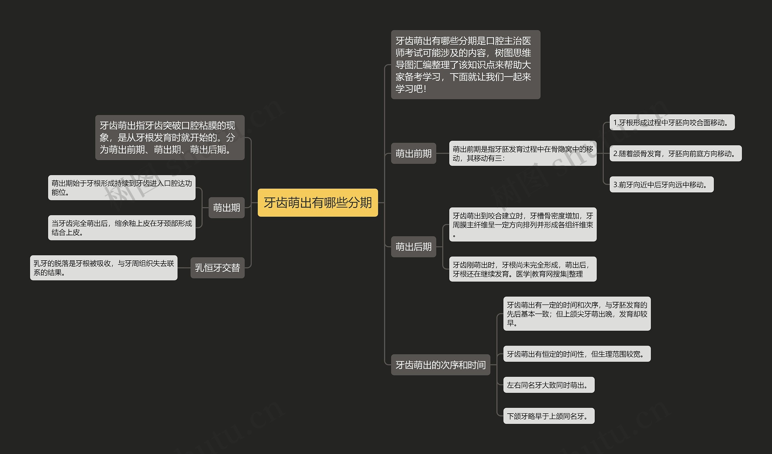 牙齿萌出有哪些分期思维导图