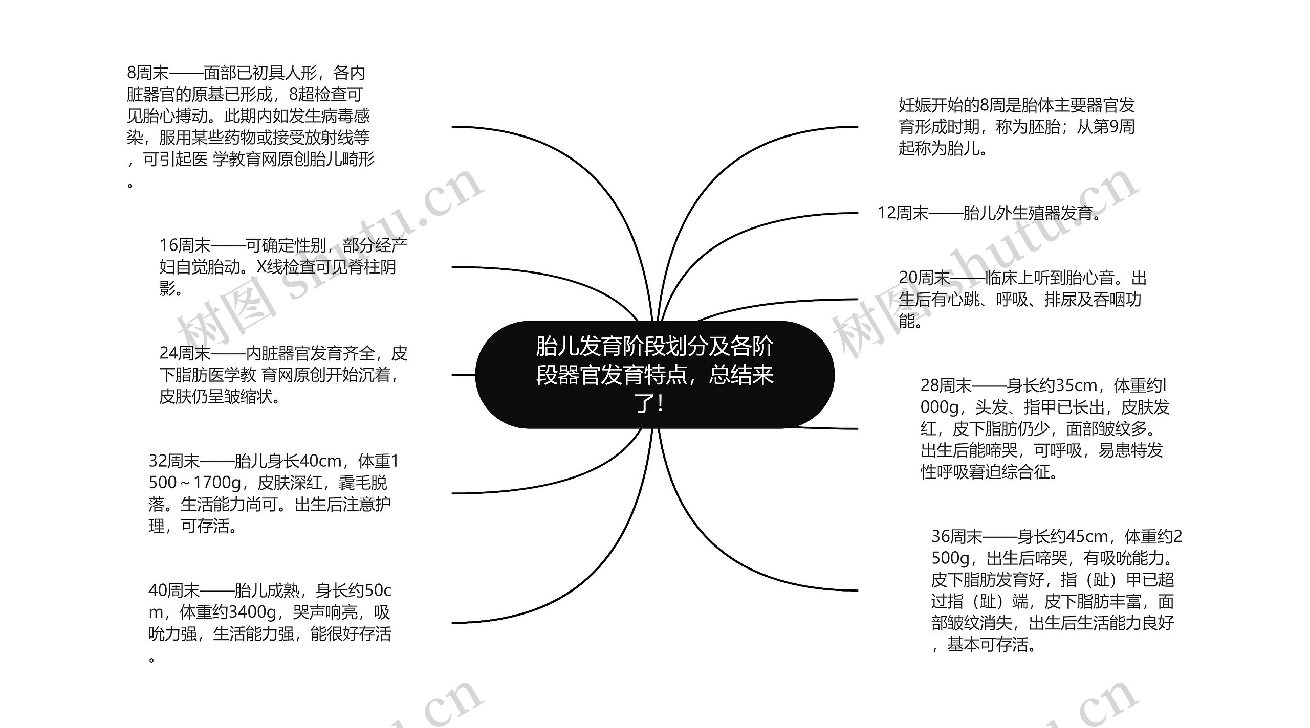 胎儿发育阶段划分及各阶段器官发育特点，总结来了！思维导图