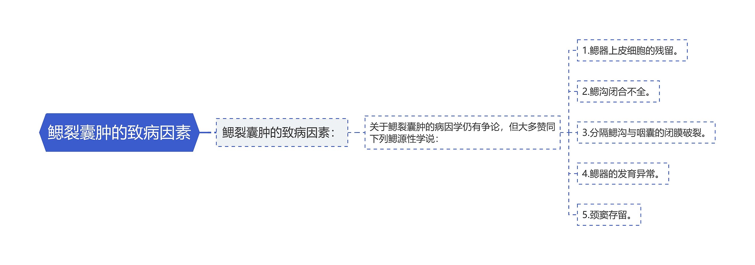 鳃裂囊肿的致病因素思维导图