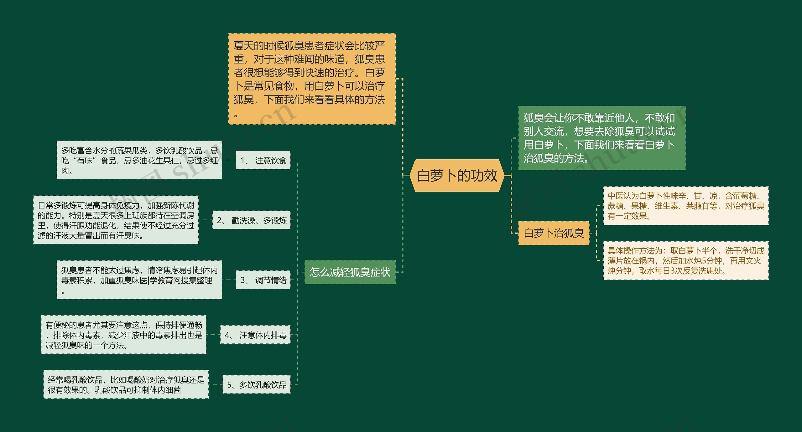 白萝卜的功效思维导图