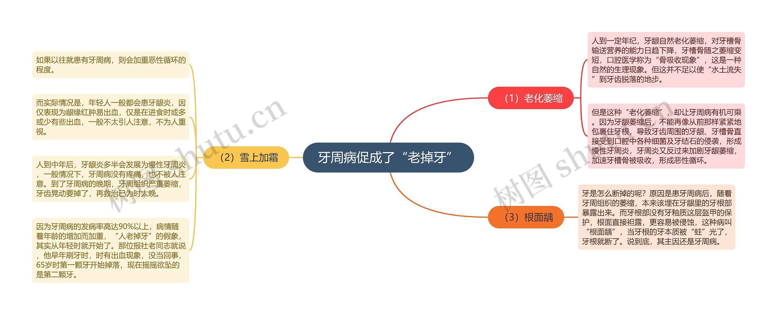 牙周病促成了“老掉牙”思维导图