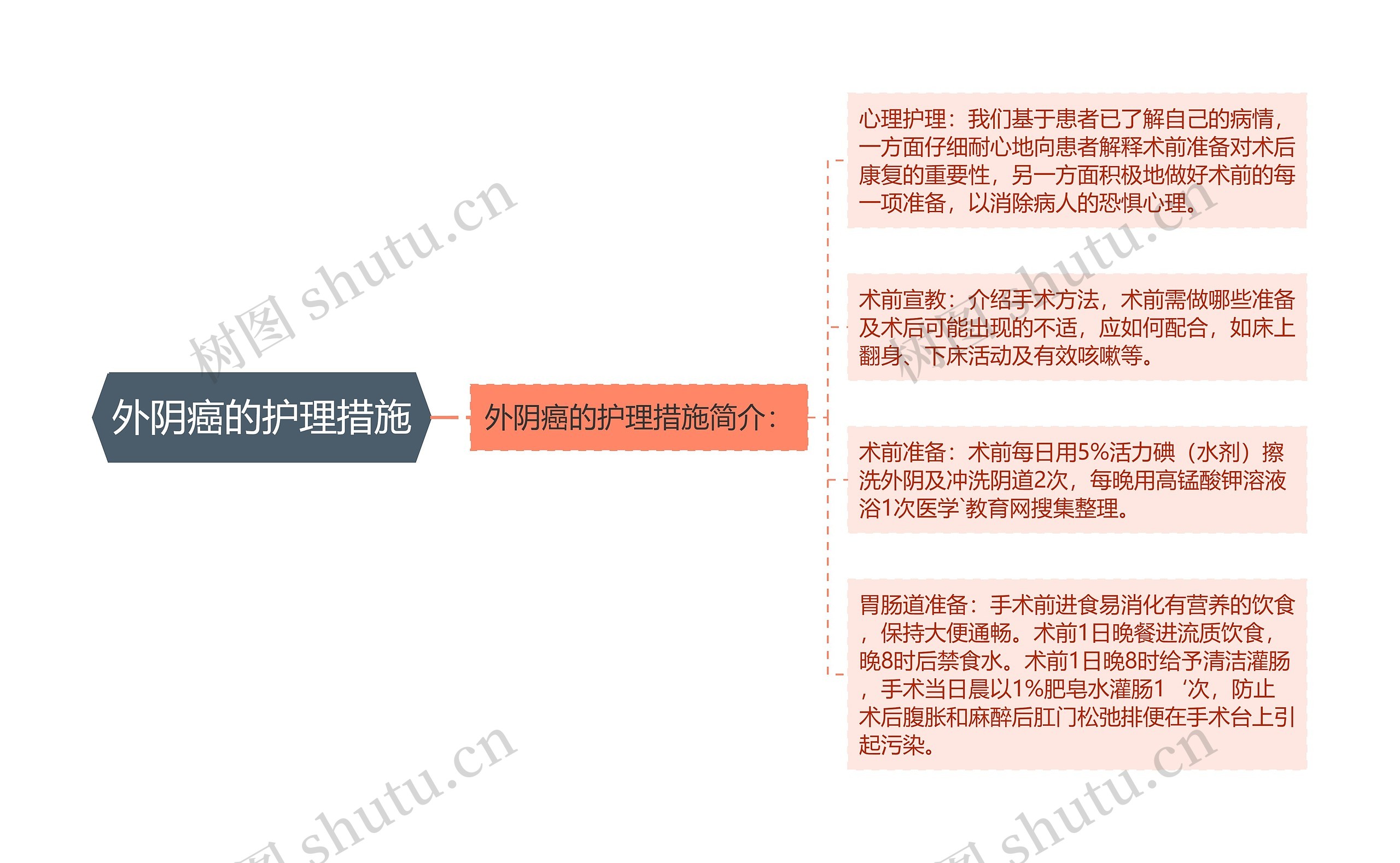 外阴癌的护理措施思维导图