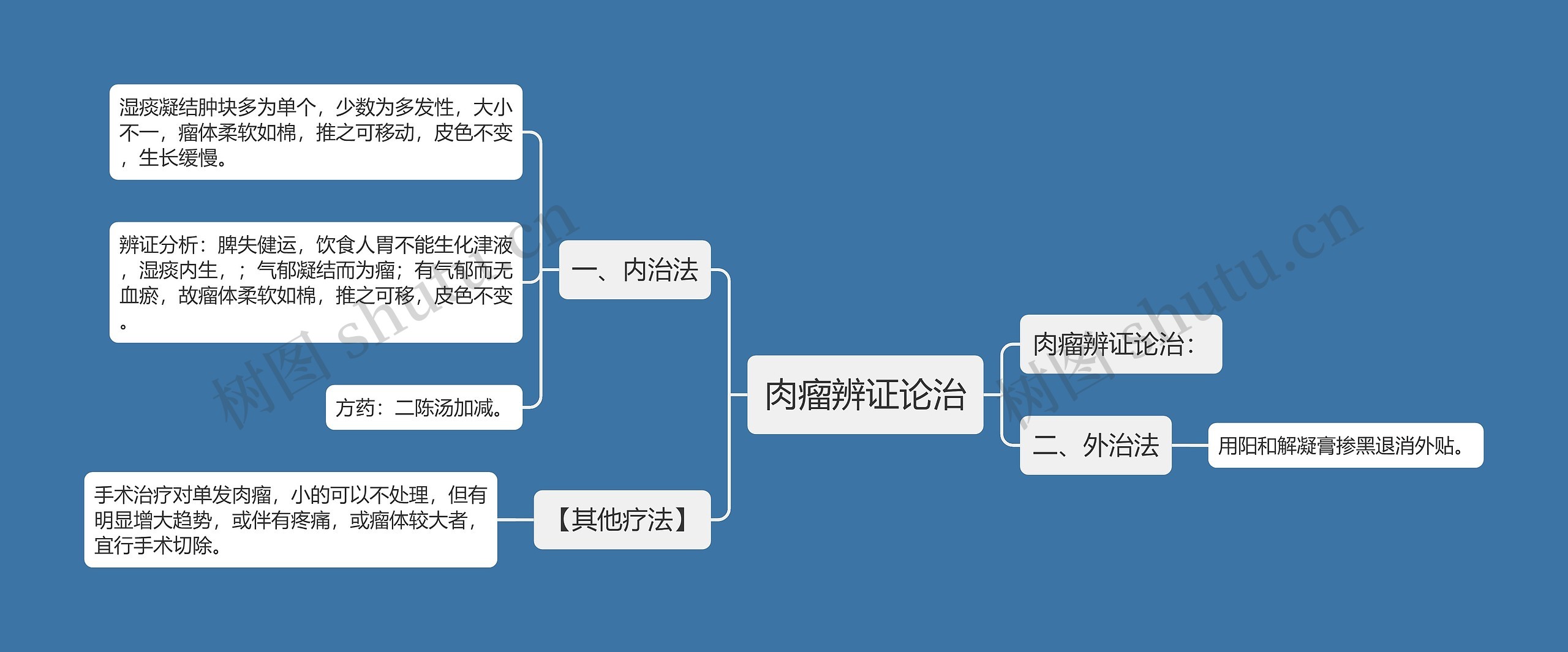 肉瘤辨证论治思维导图