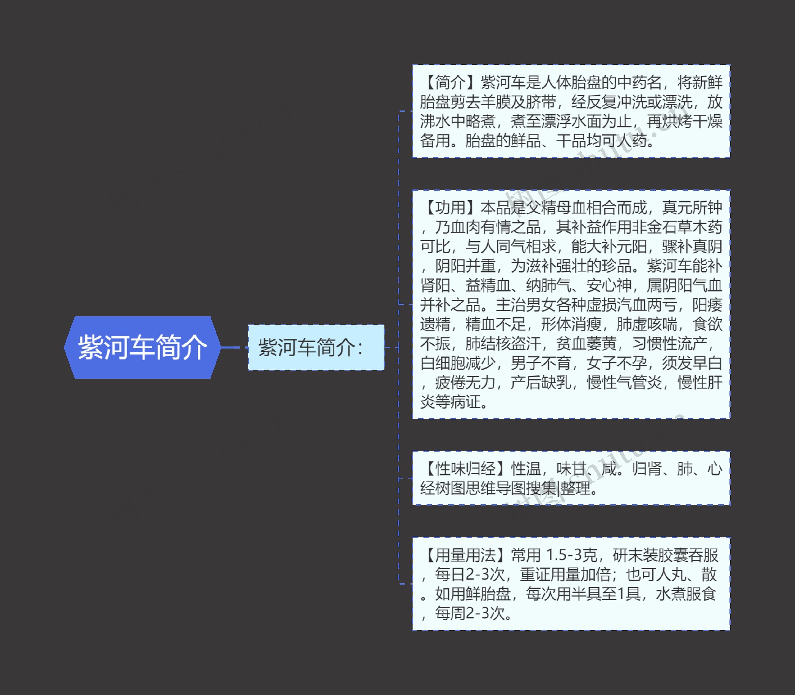 紫河车简介思维导图