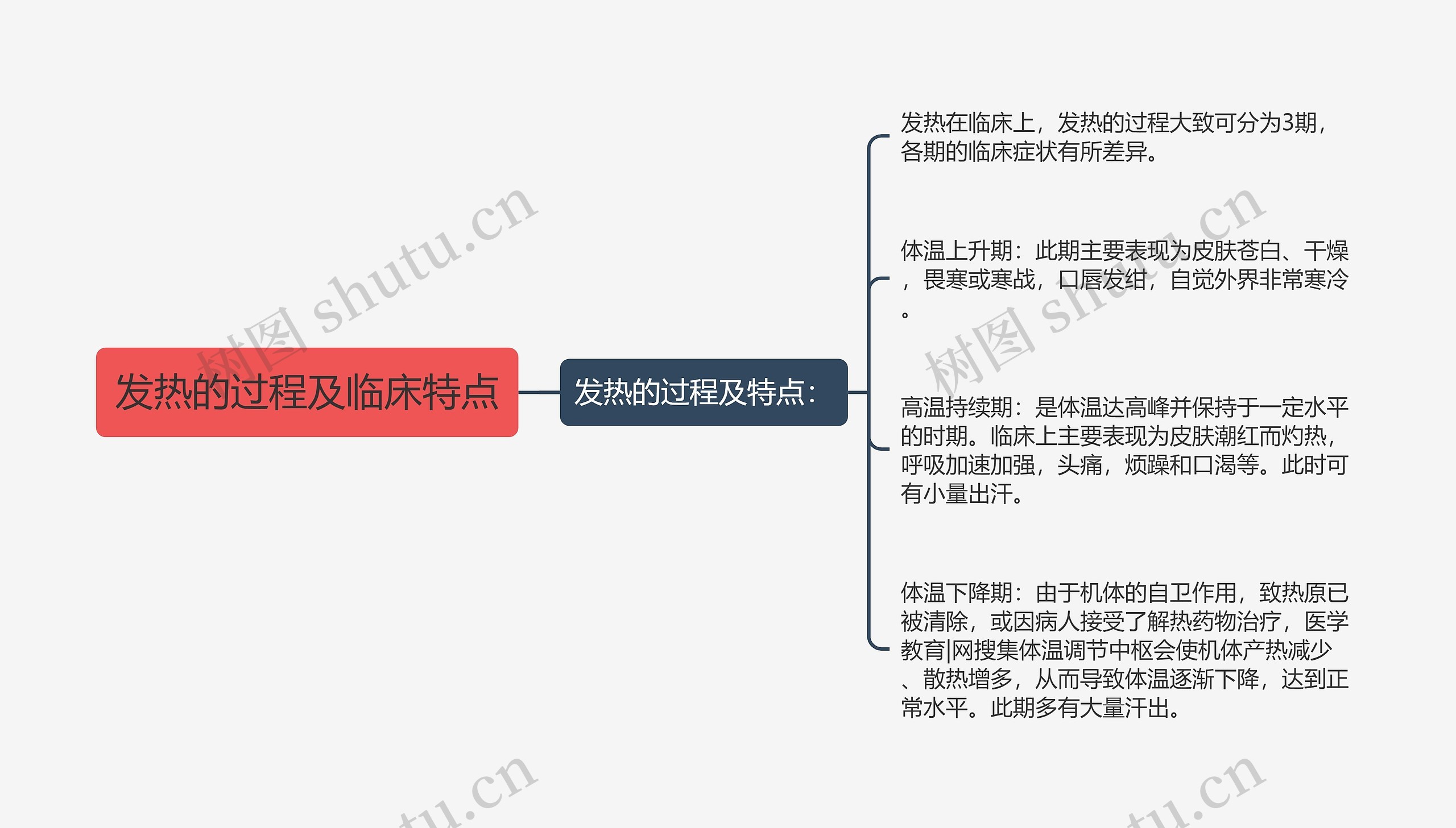 发热的过程及临床特点