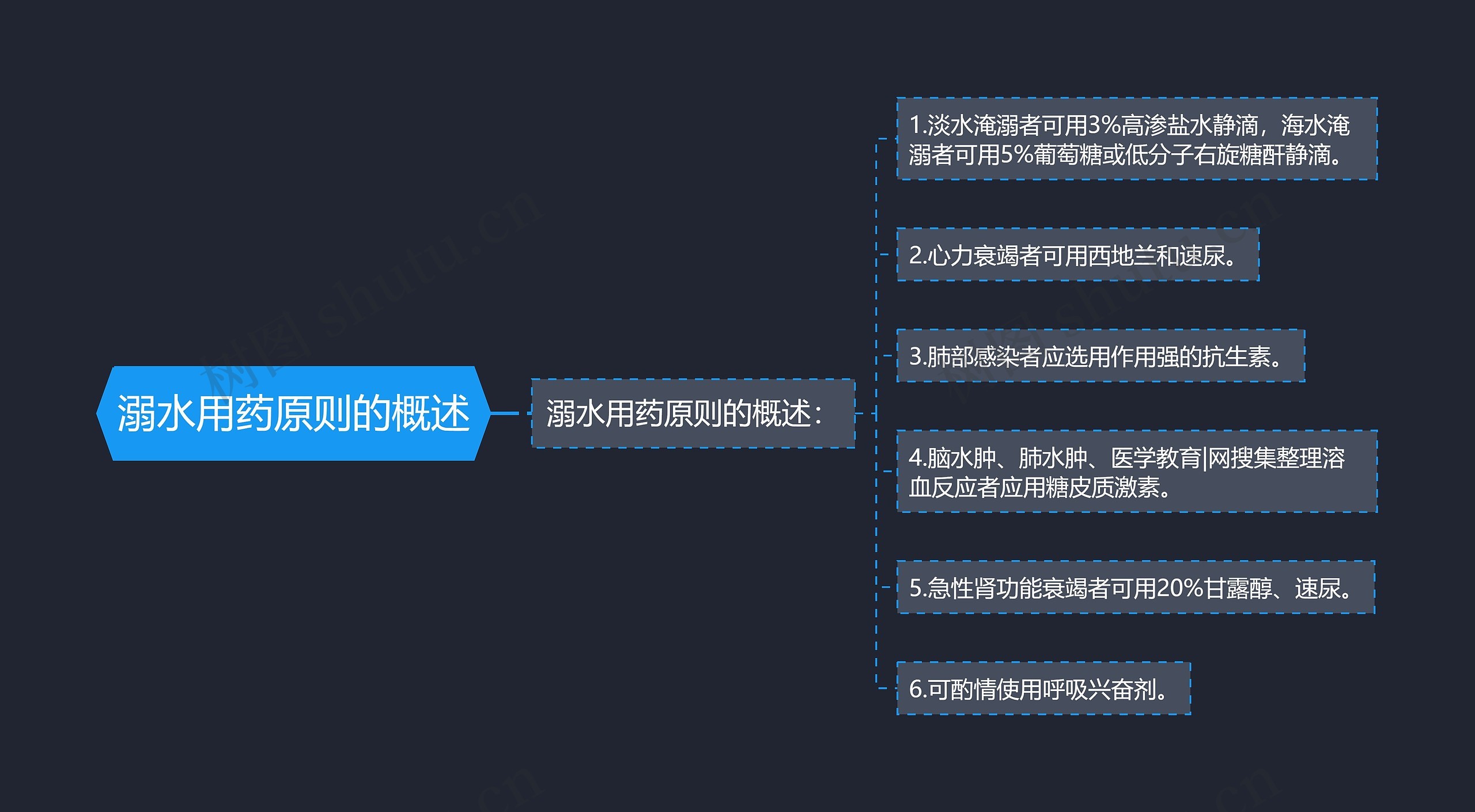 溺水用药原则的概述思维导图