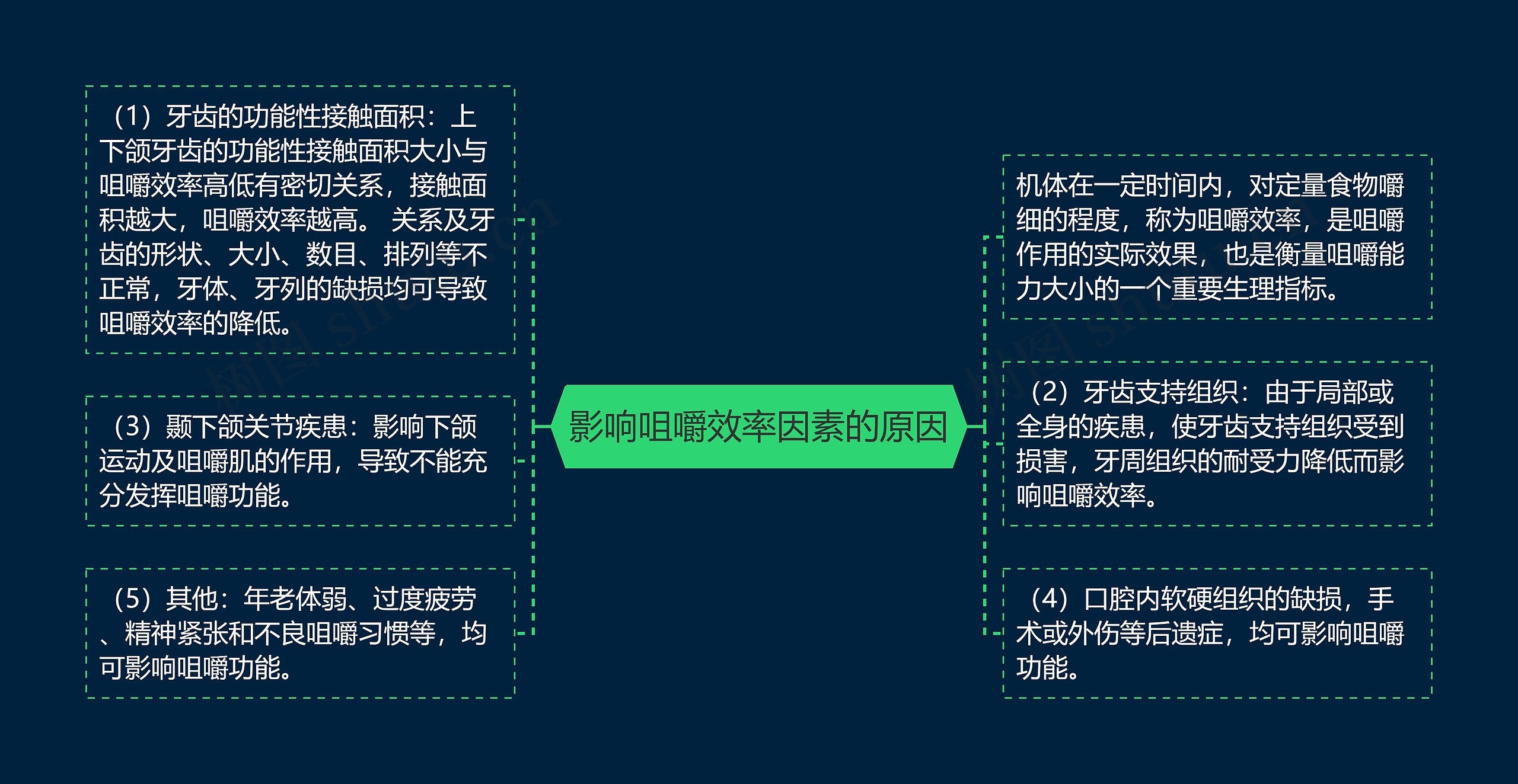 影响咀嚼效率因素的原因思维导图