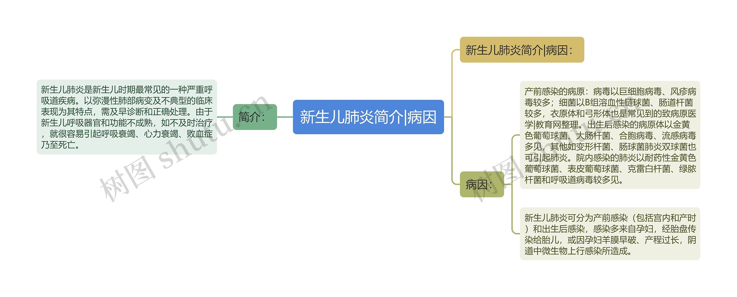 新生儿肺炎简介|病因思维导图