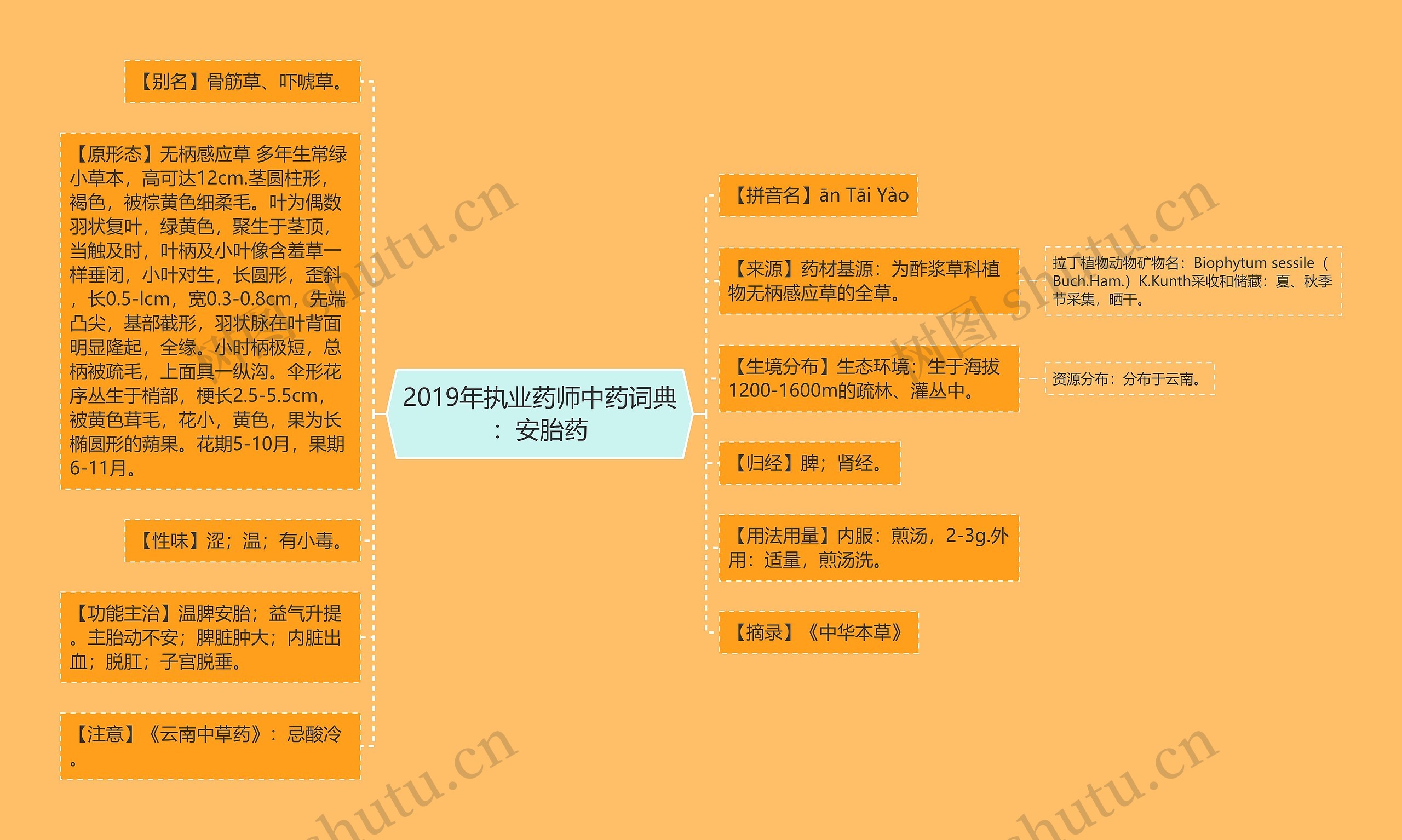 2019年执业药师中药词典：安胎药思维导图