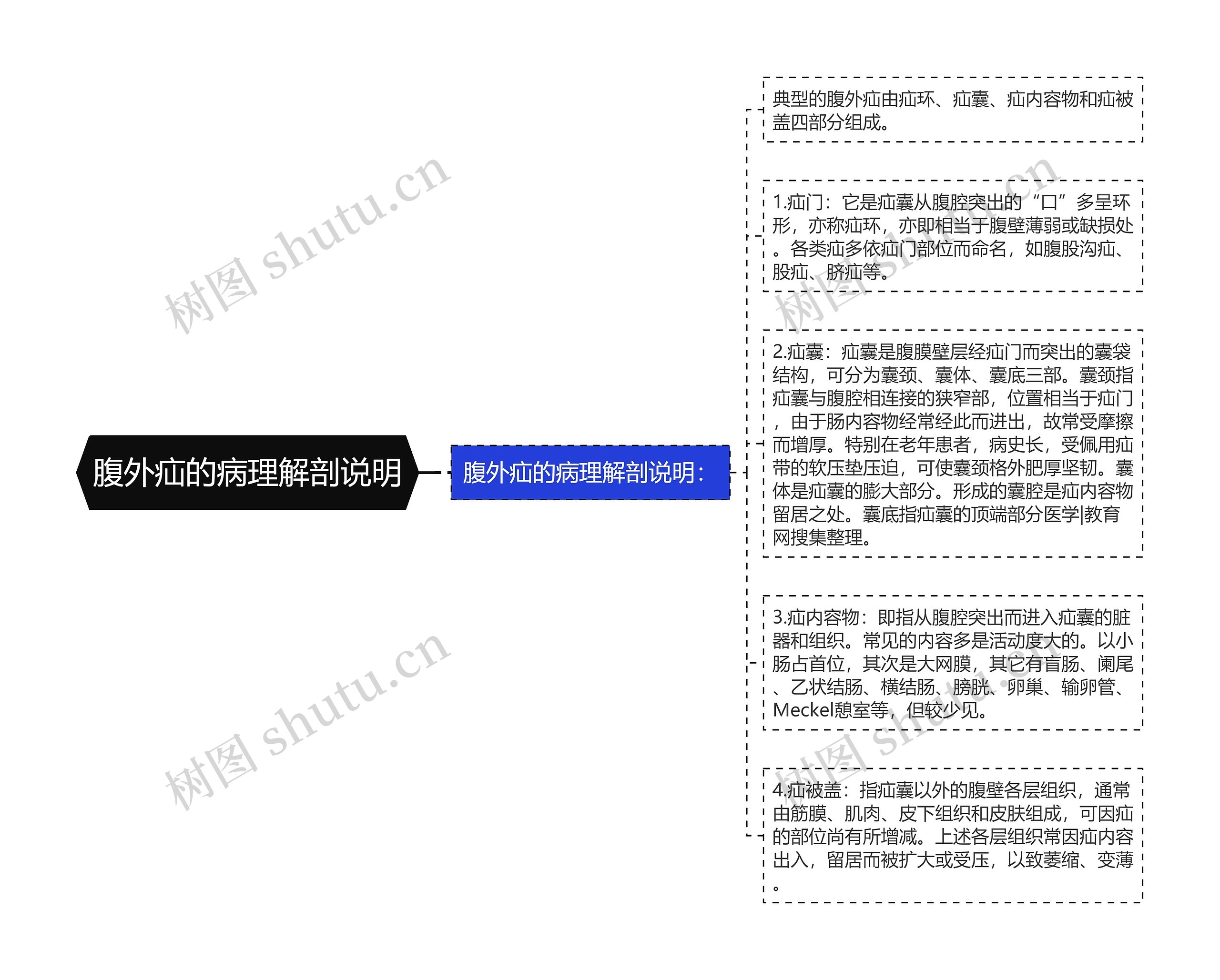 腹外疝的病理解剖说明 腹外疝的病理解剖说明