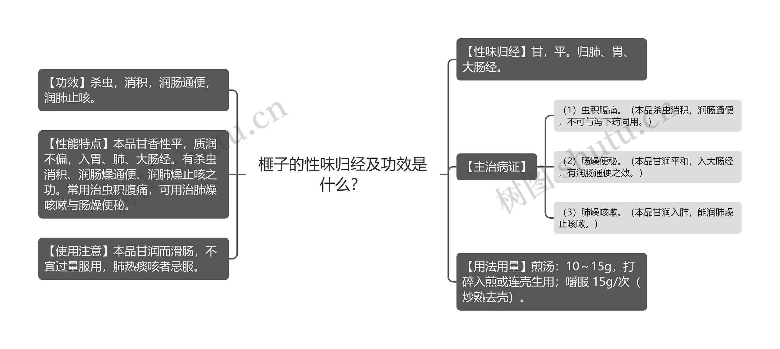 榧子的性味归经及功效是什么？思维导图