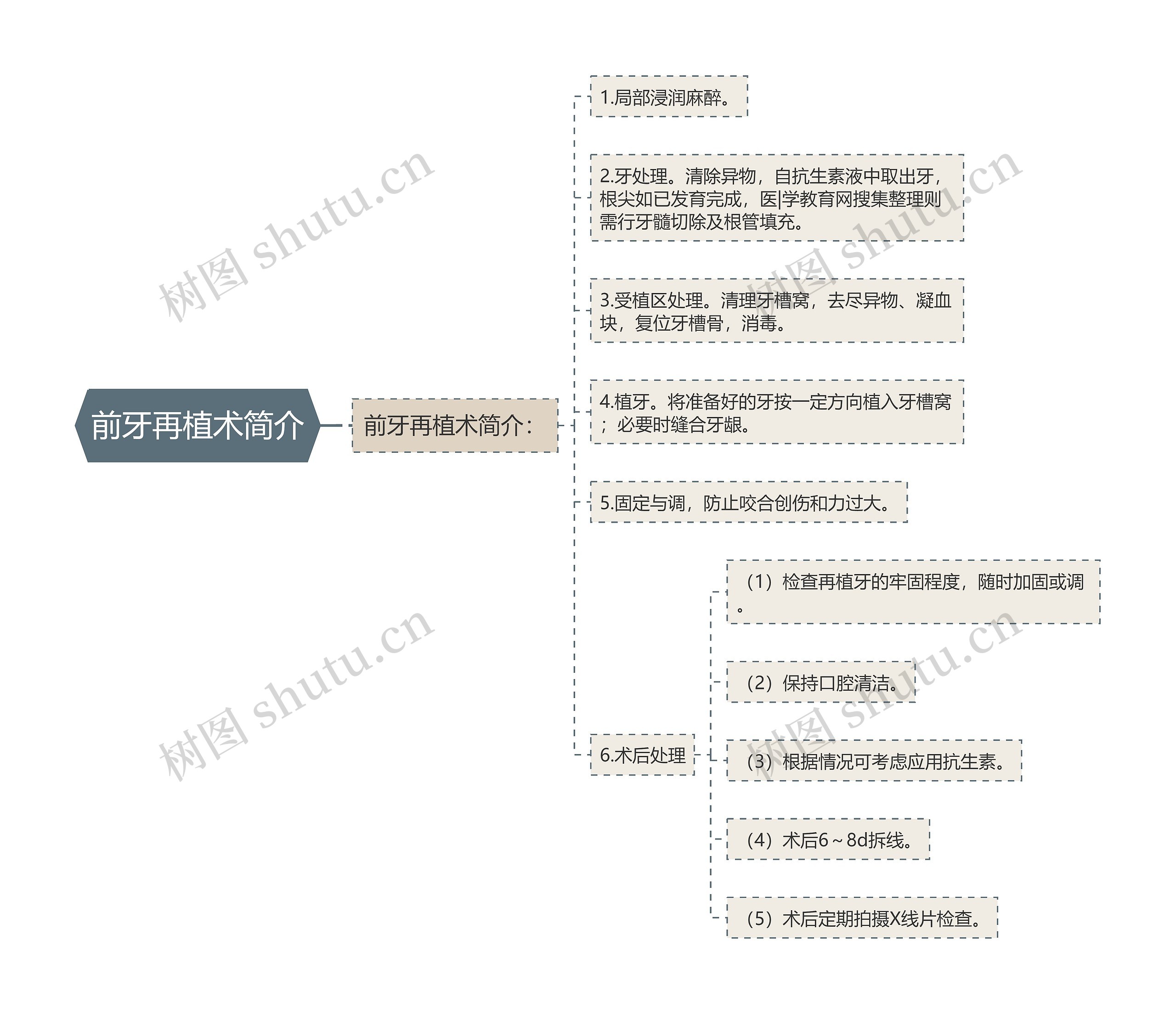 前牙再植术简介思维导图