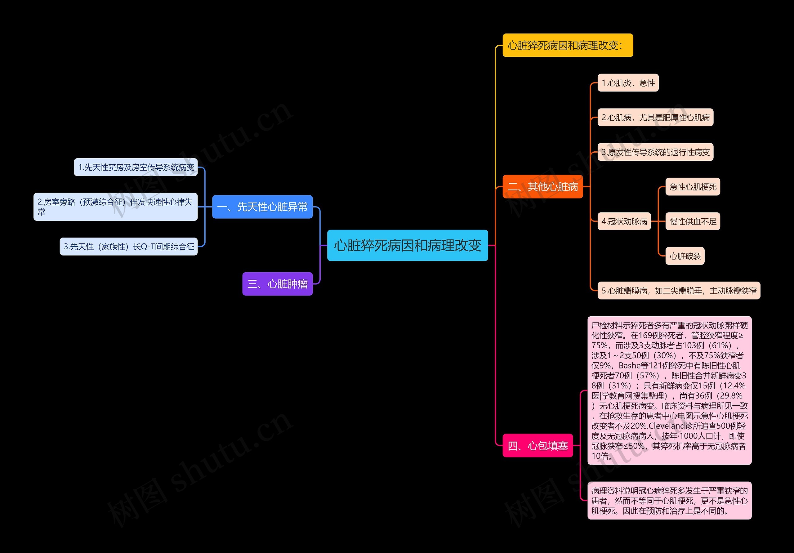 心脏猝死病因和病理改变思维导图