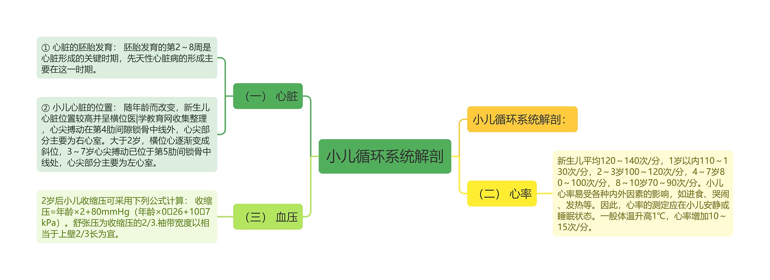 小儿循环系统解剖思维导图