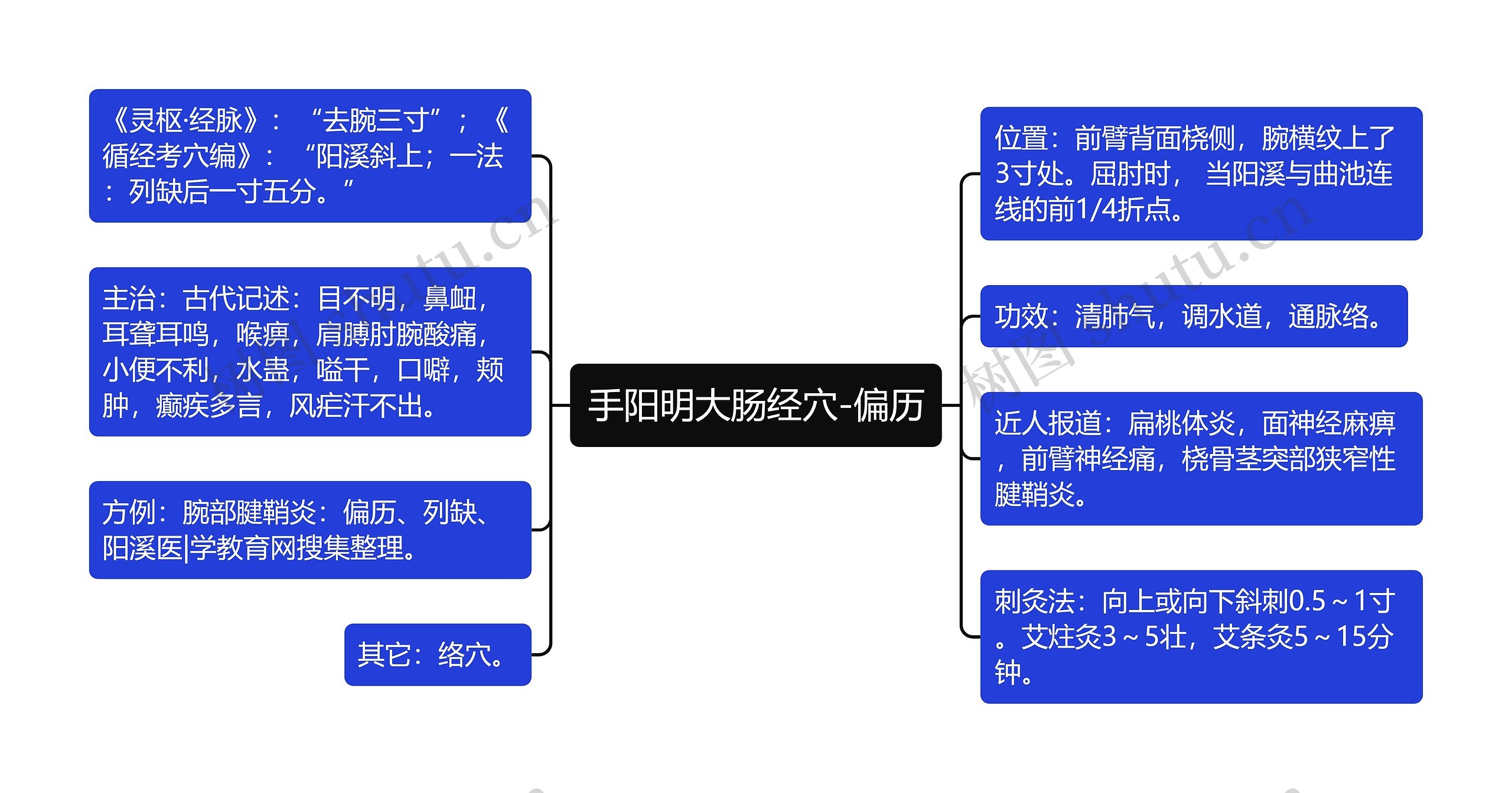 手阳明大肠经穴-偏历