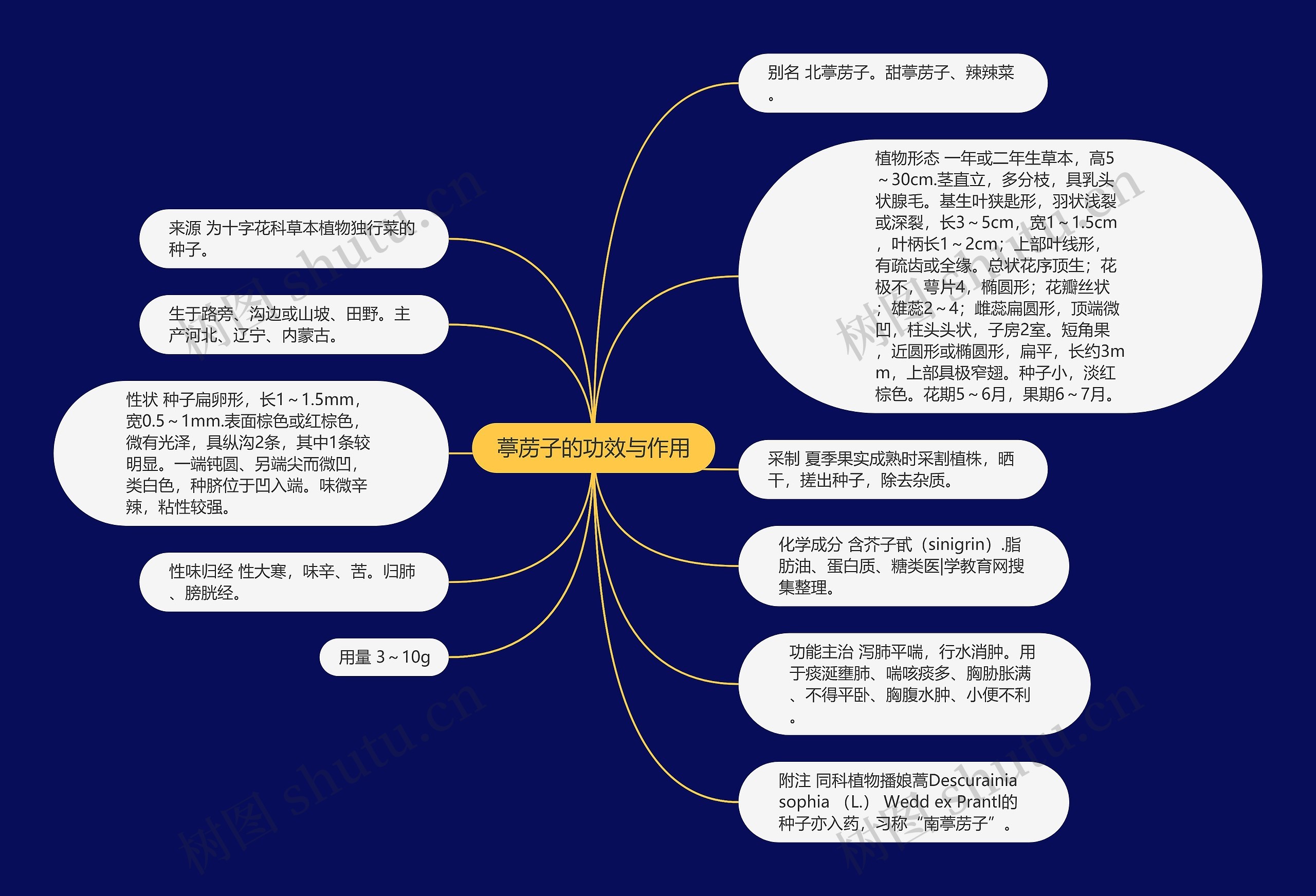 葶苈子的功效与作用思维导图