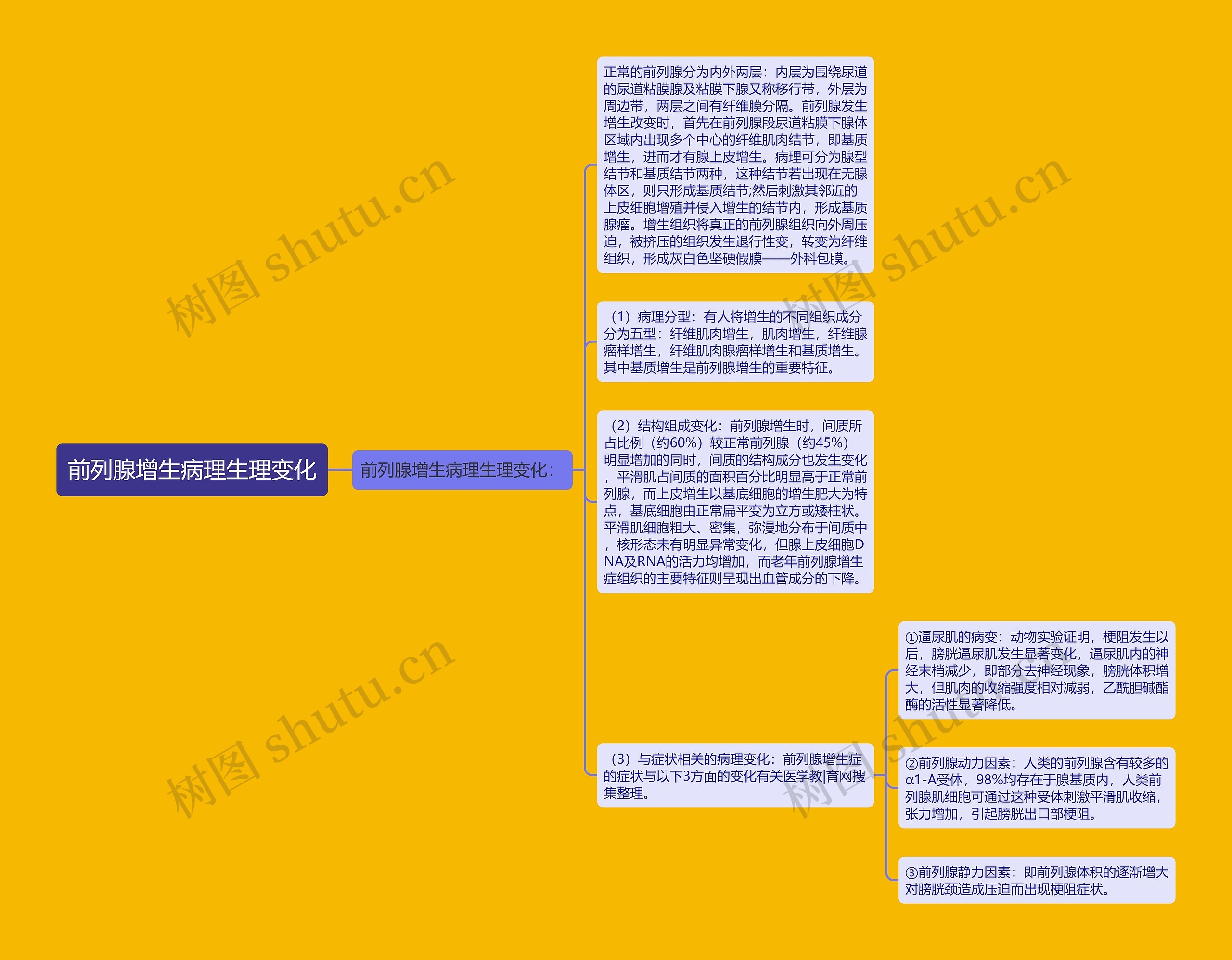 前列腺增生病理生理变化思维导图