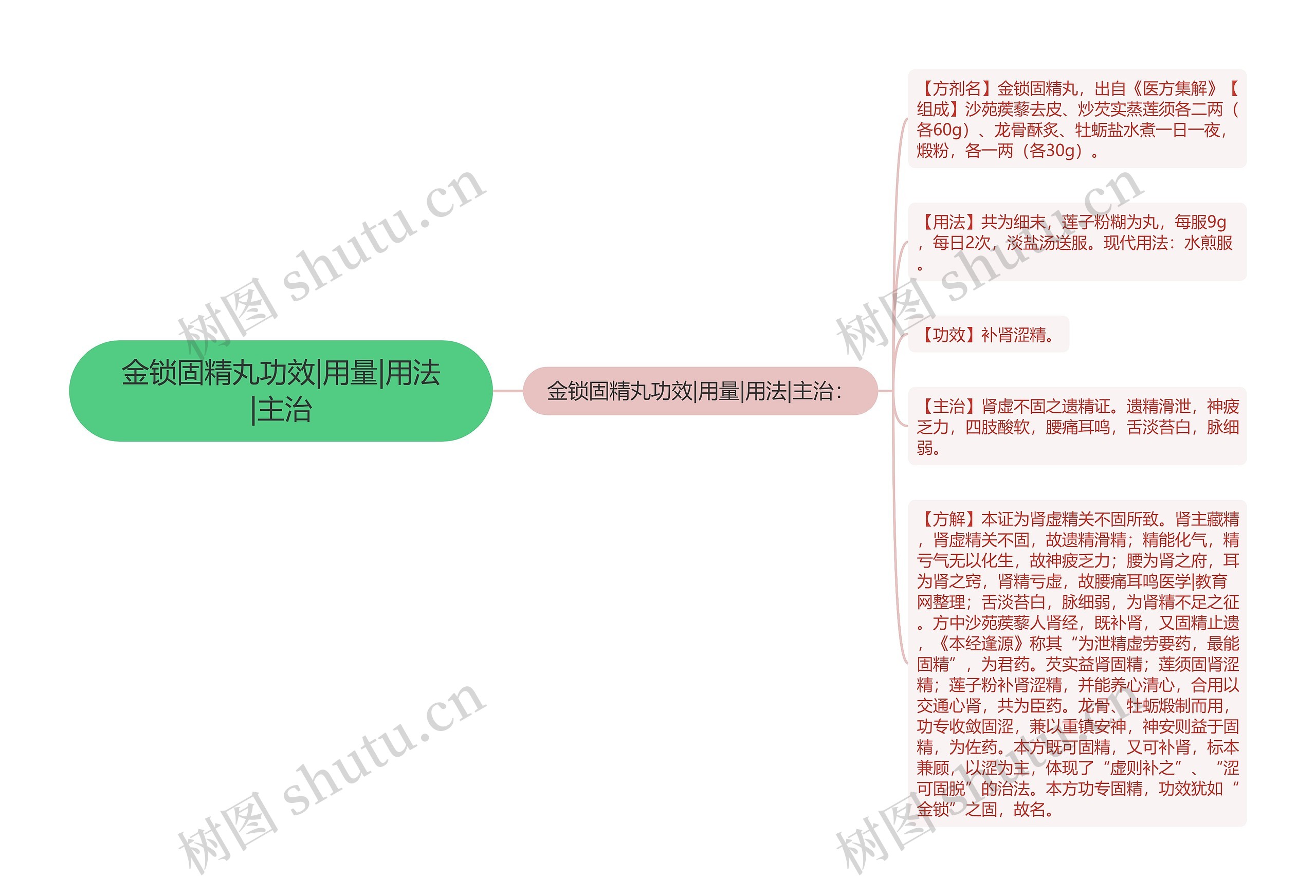 金锁固精丸功效|用量|用法|主治思维导图