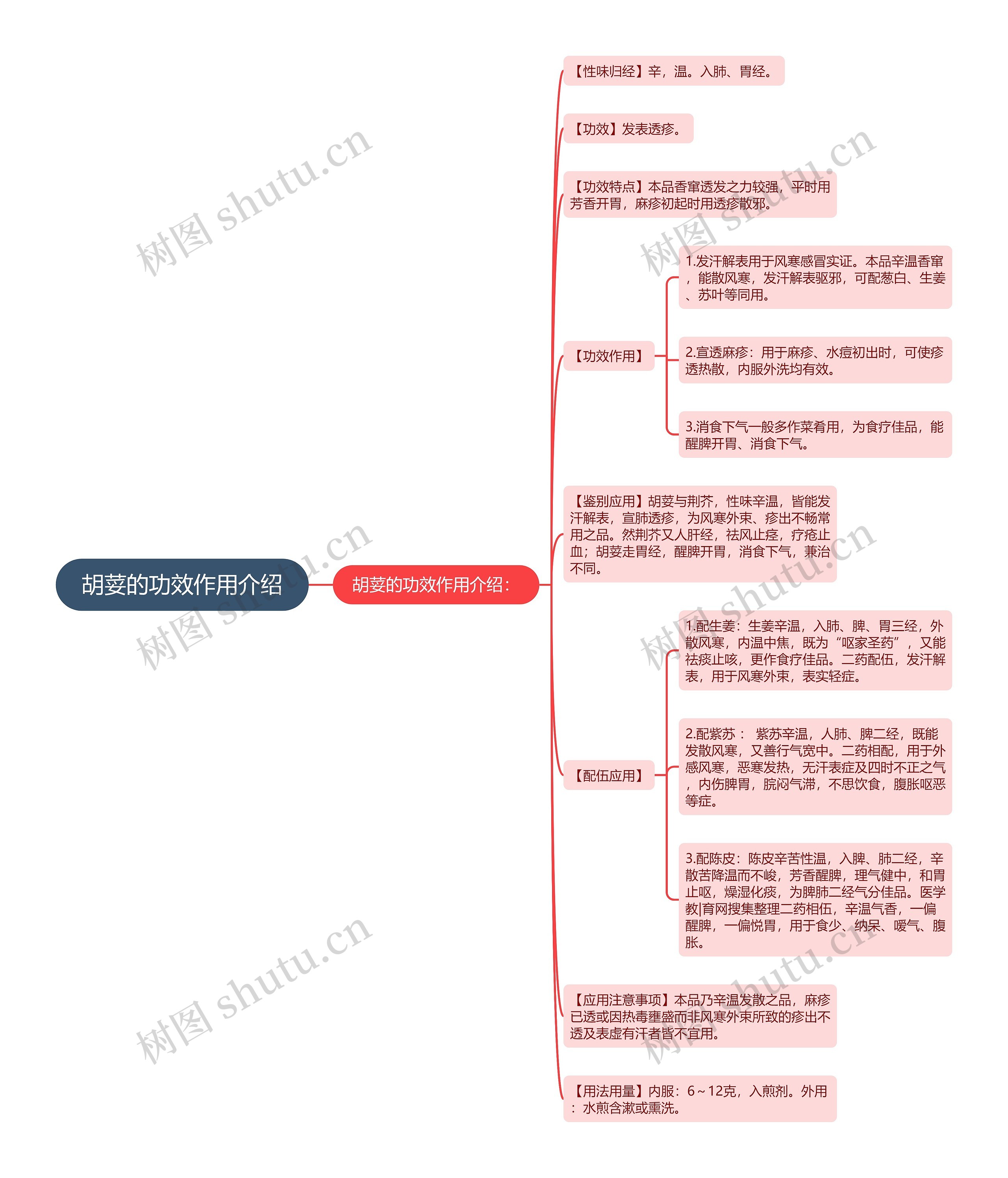 胡荽的功效作用介绍 胡荽的功效作用介绍