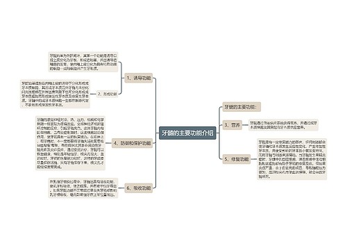 牙髓的主要功能介绍