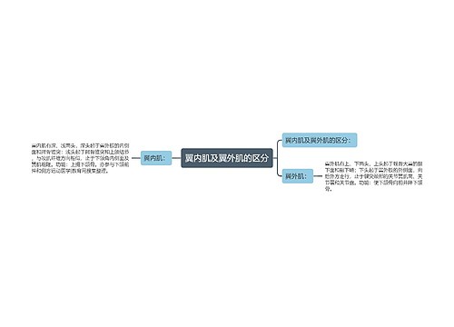 翼内肌及翼外肌的区分