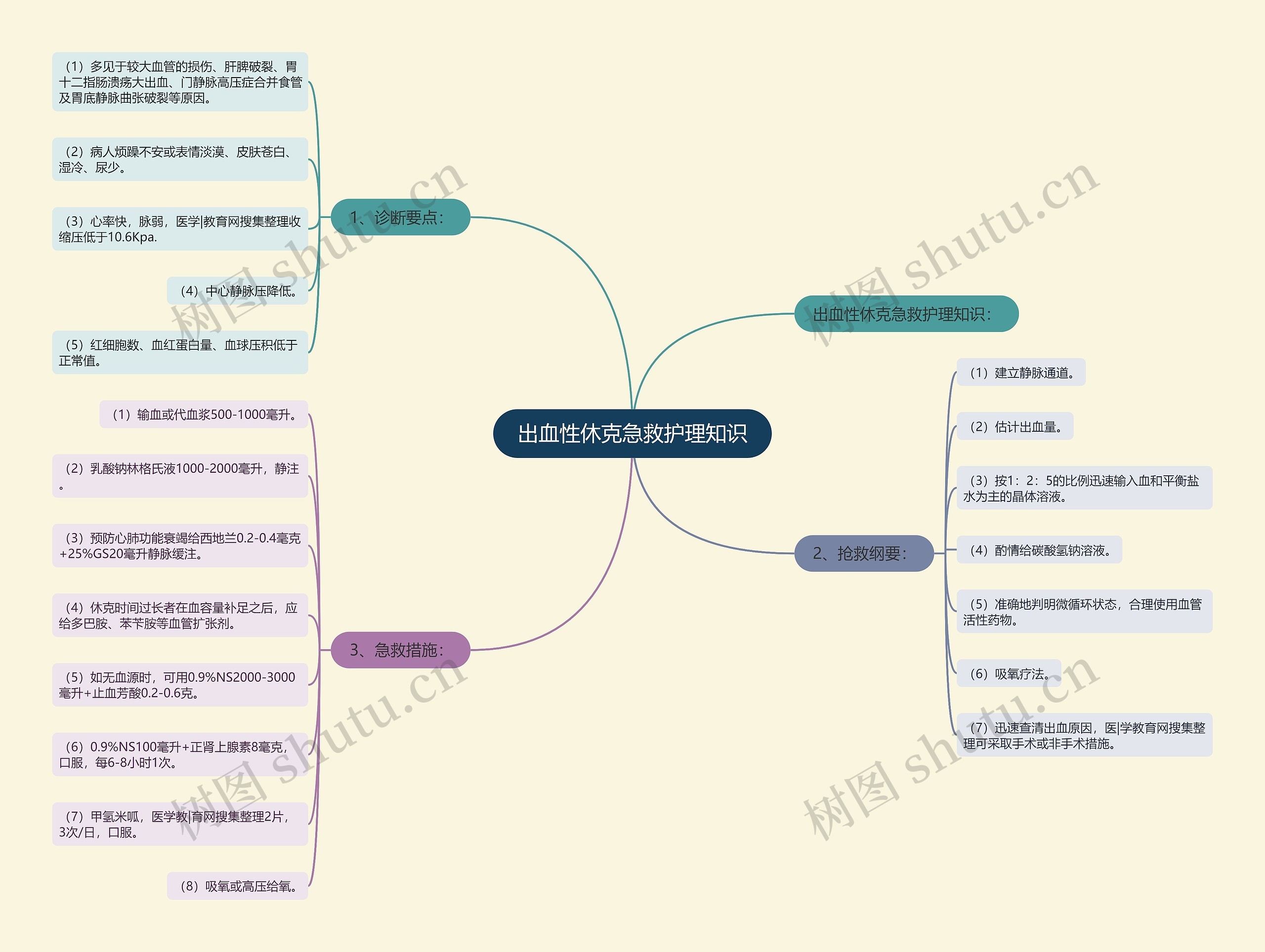 出血性休克急救护理知识思维导图