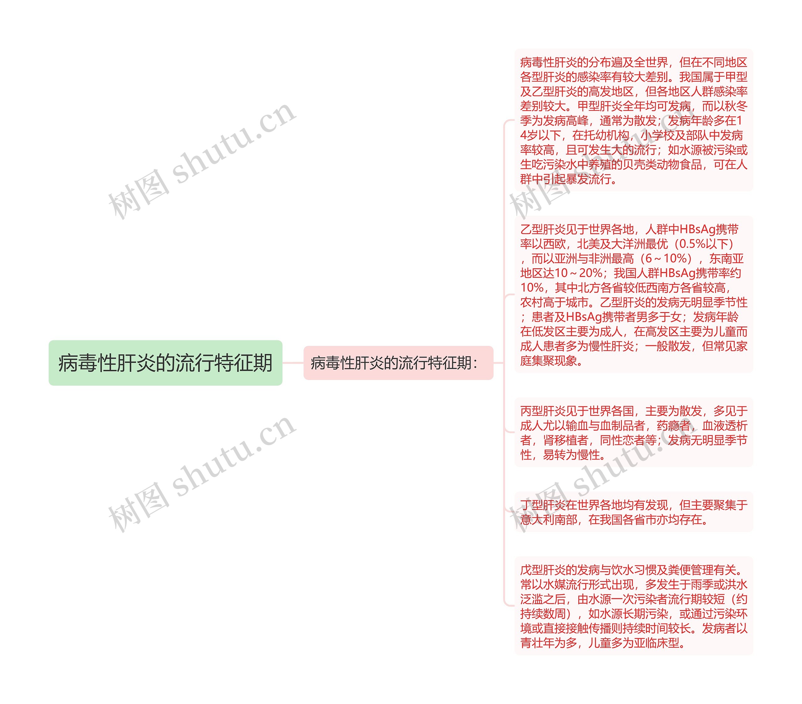 病毒性肝炎的流行特征期思维导图