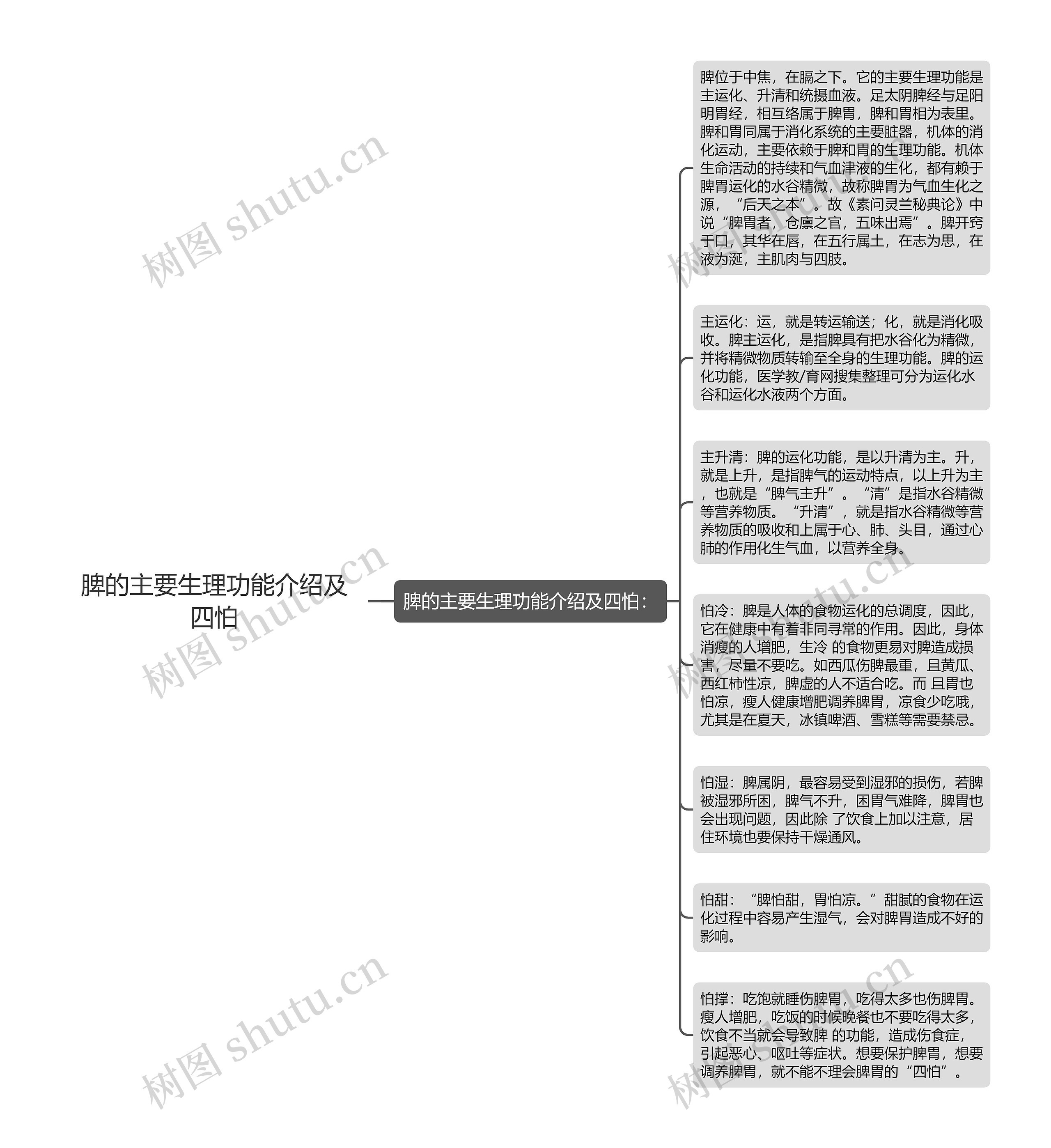 脾的主要生理功能介绍及四怕思维导图