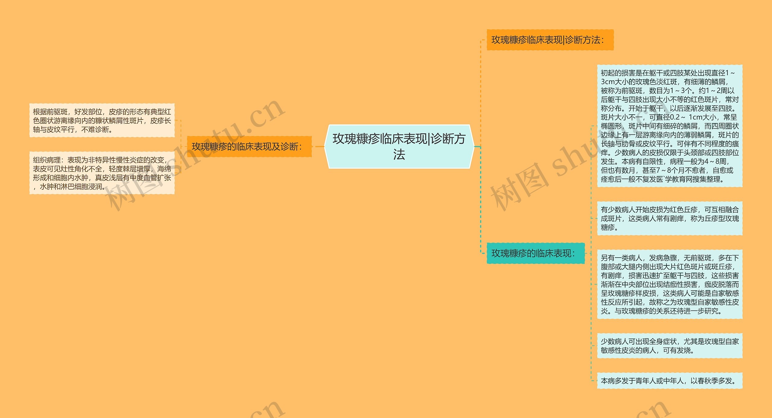 玫瑰糠疹临床表现|诊断方法