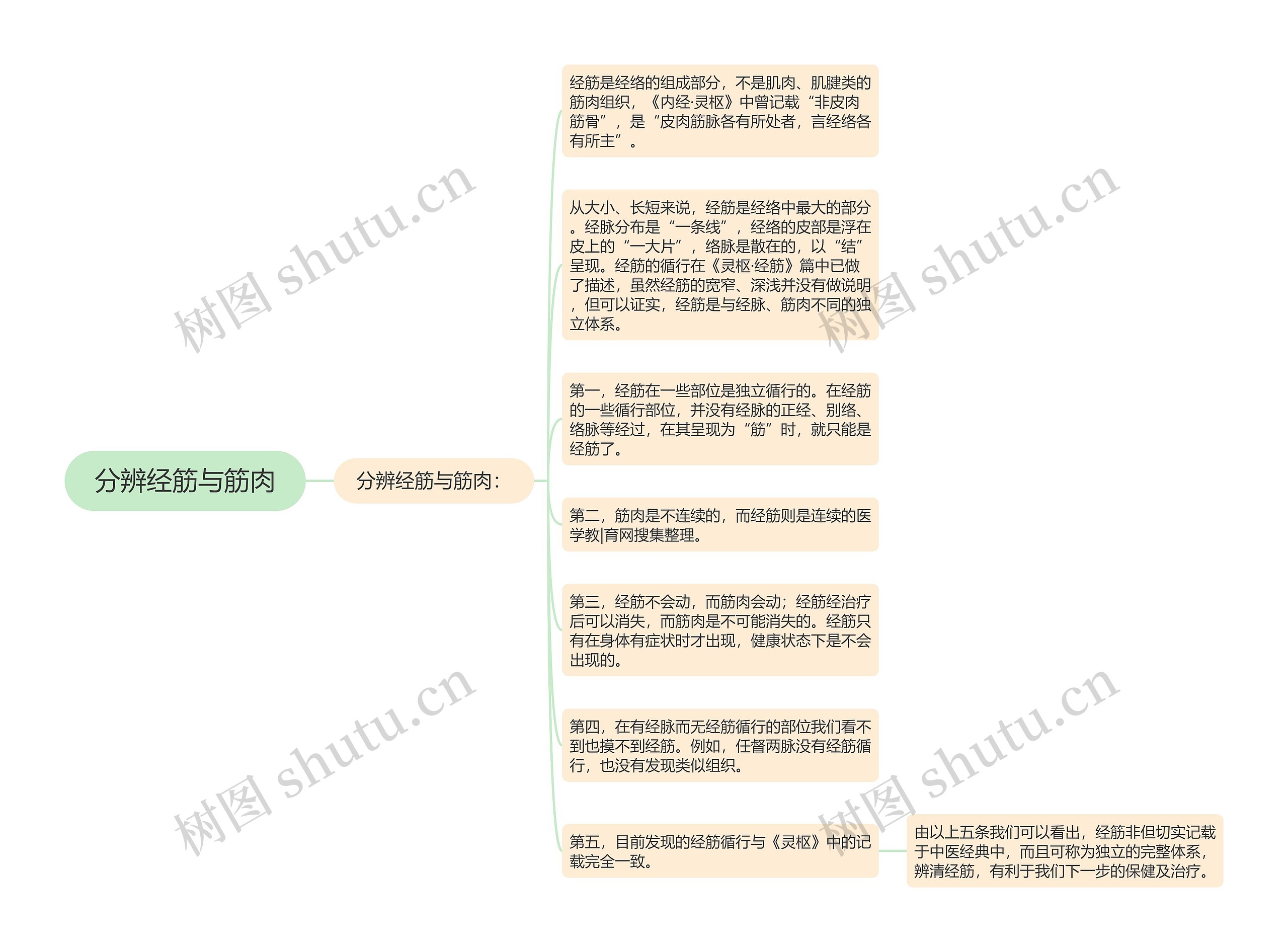 分辨经筋与筋肉