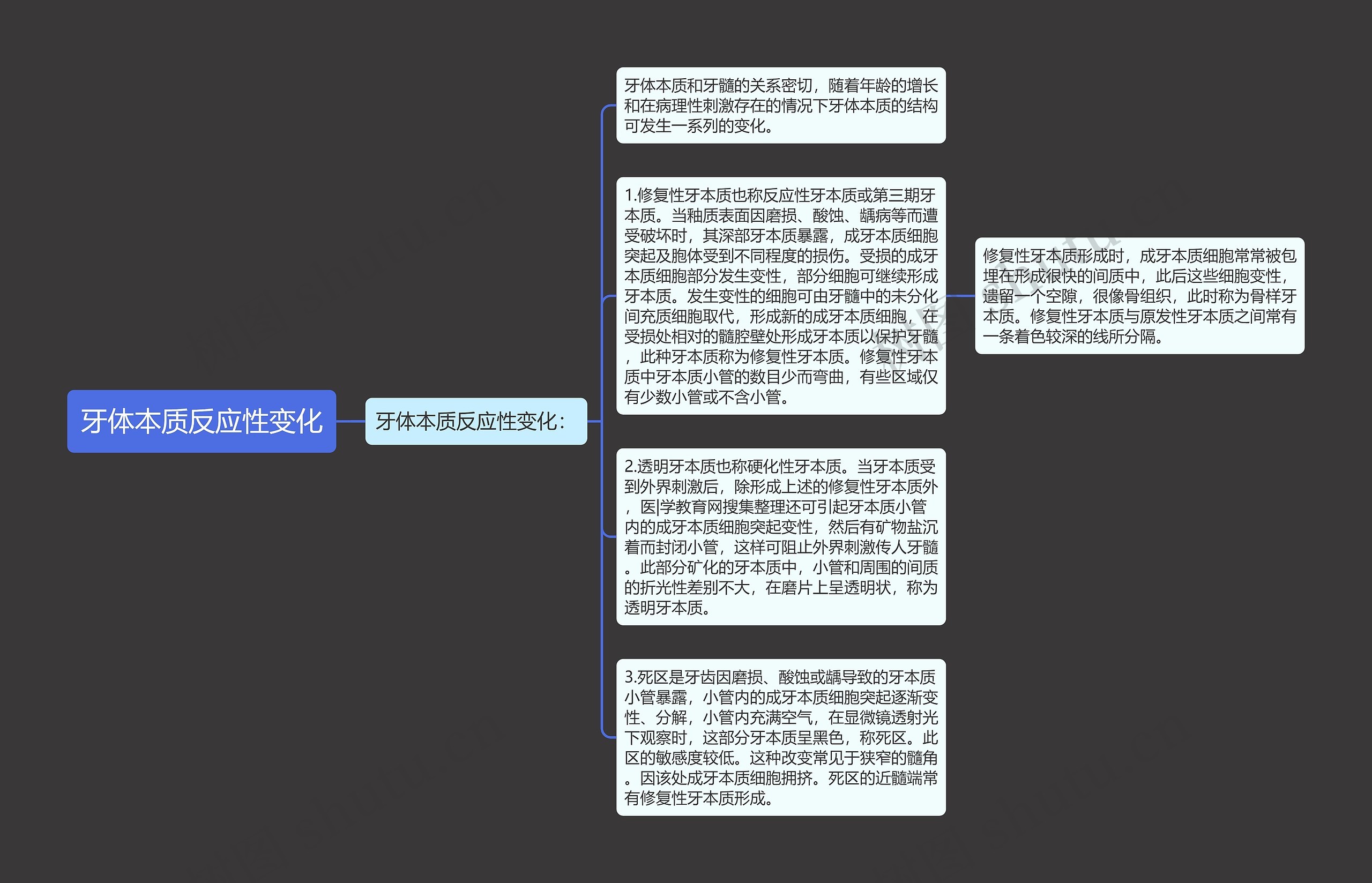 牙体本质反应性变化