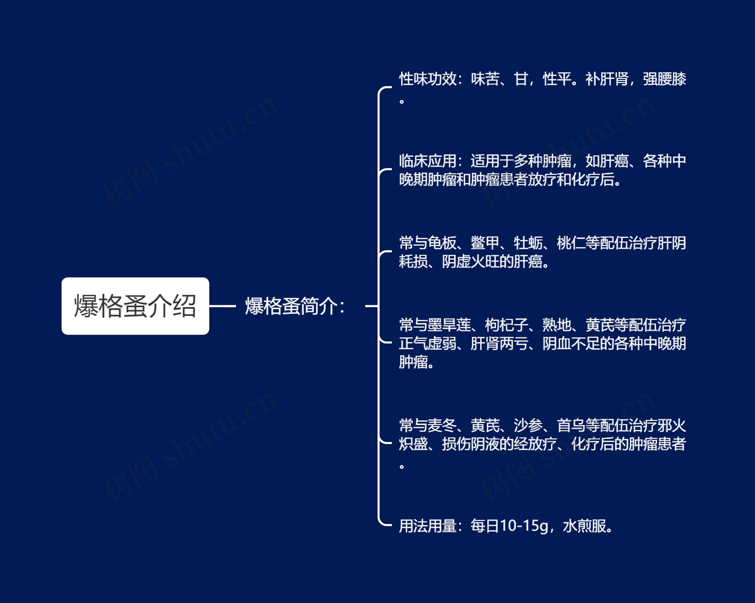 爆格蚤介绍思维导图