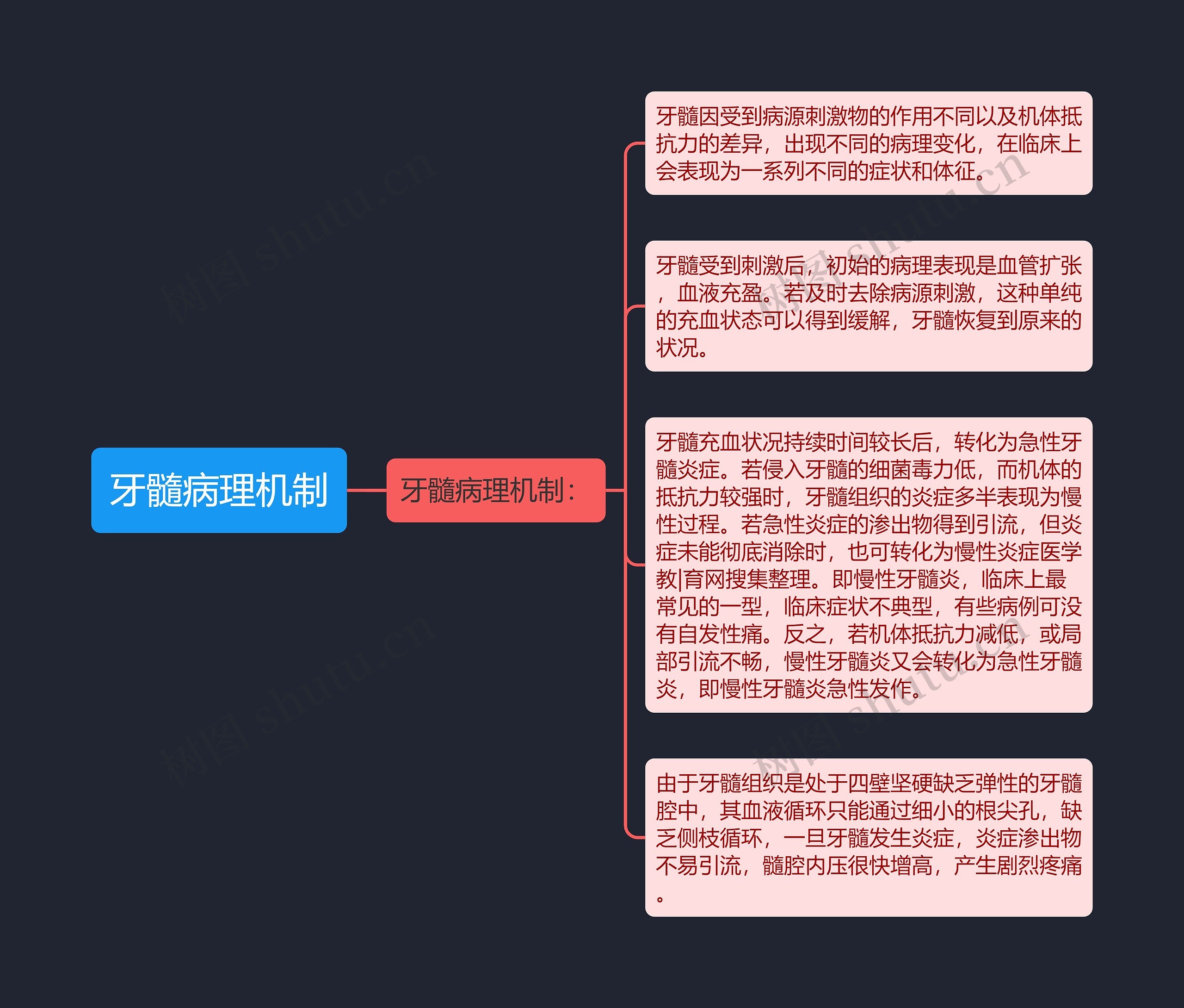 牙髓病理机制思维导图