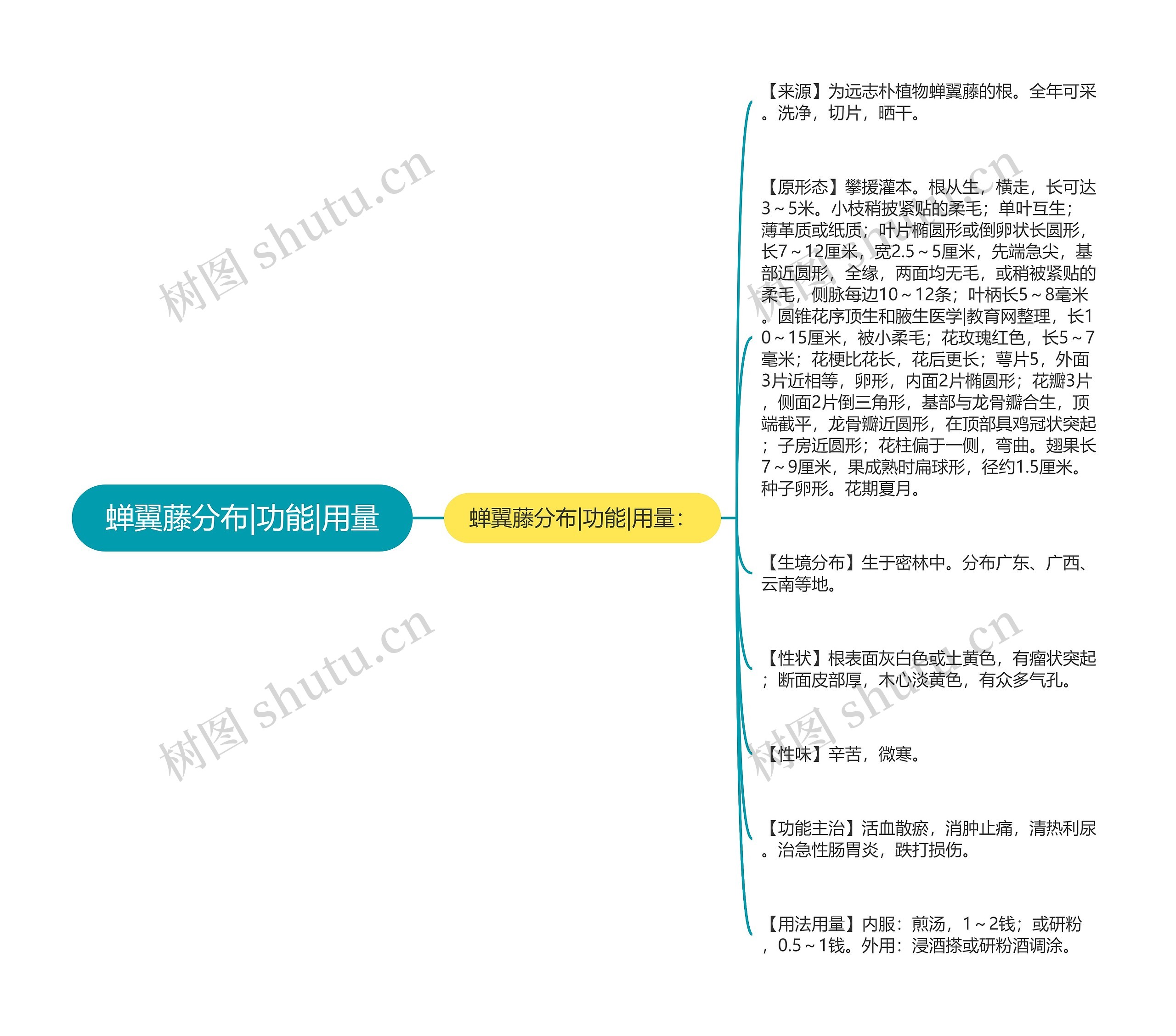 蝉翼藤分布|功能|用量