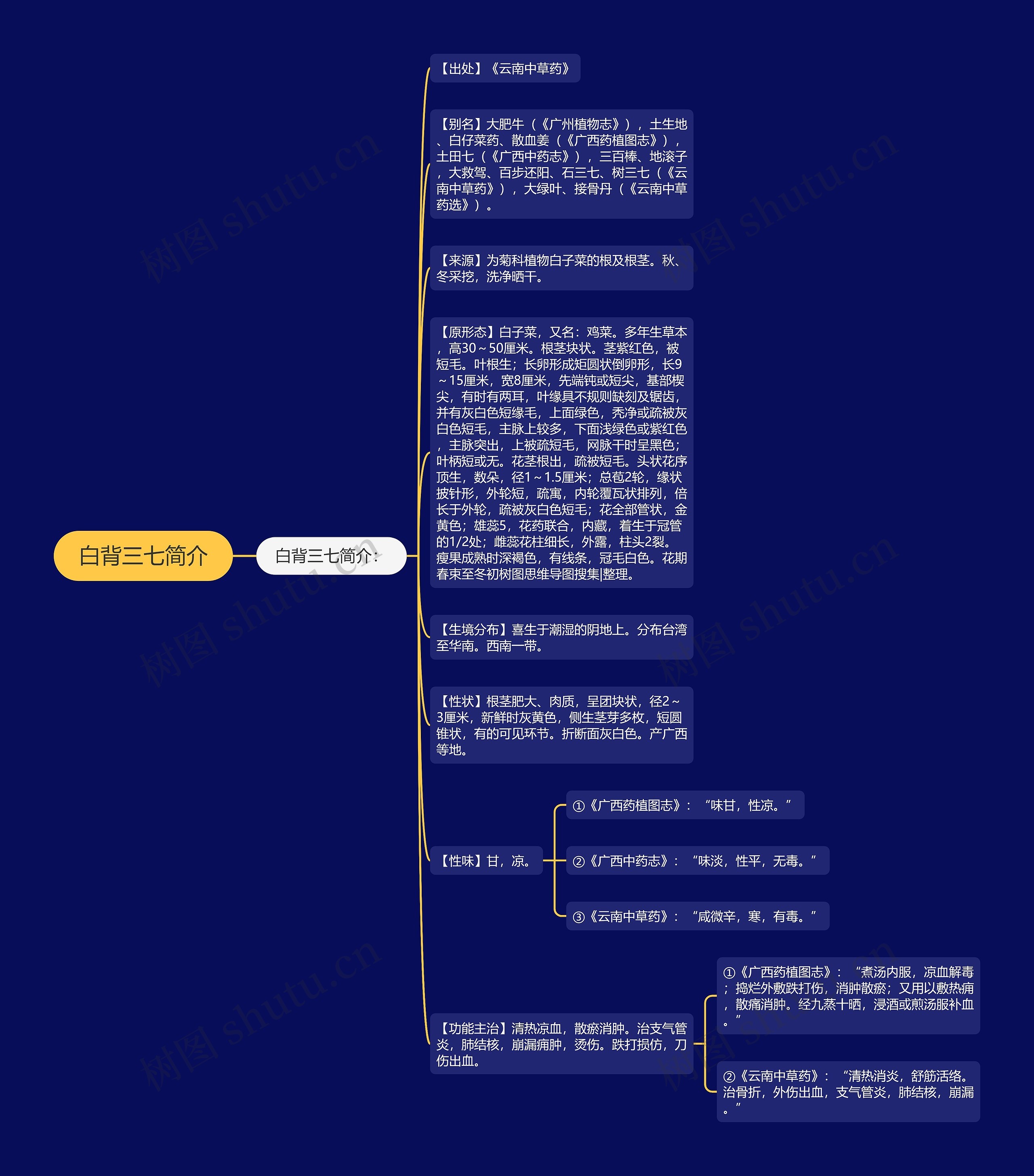 白背三七简介思维导图