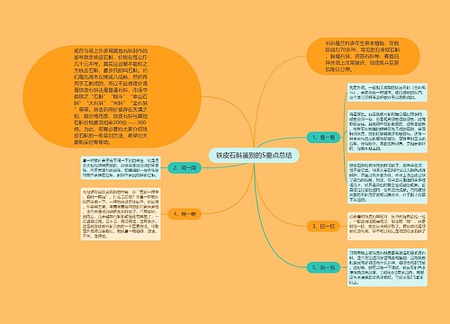 铁皮石斛鉴别的5要点总结