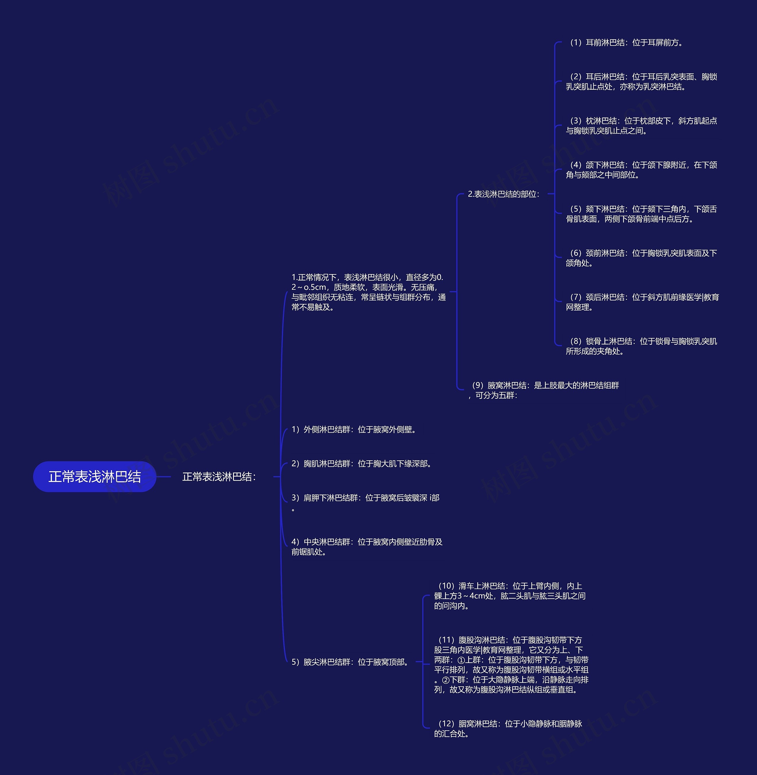 正常表浅淋巴结思维导图