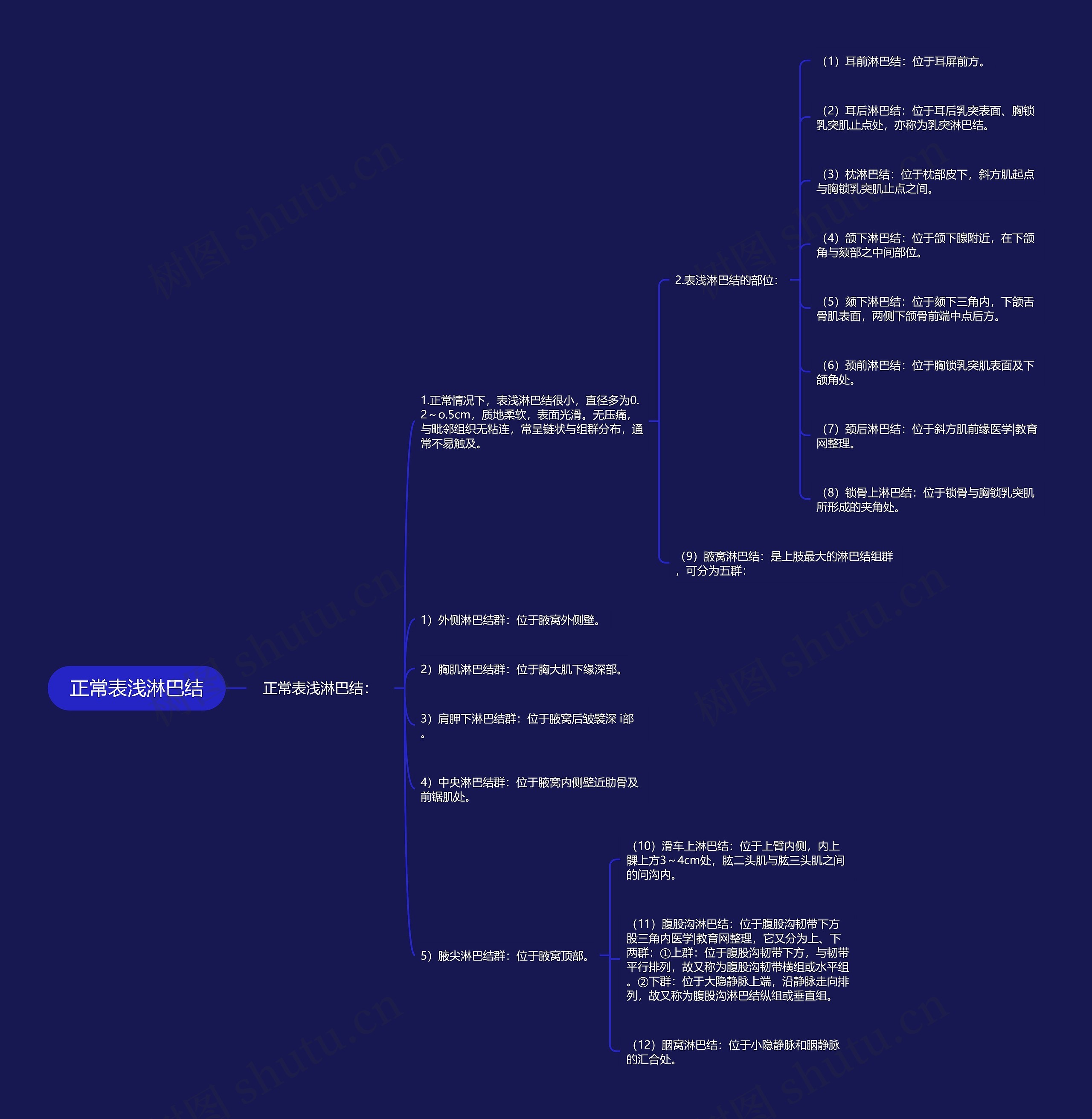 正常表浅淋巴结 正常表浅淋巴结